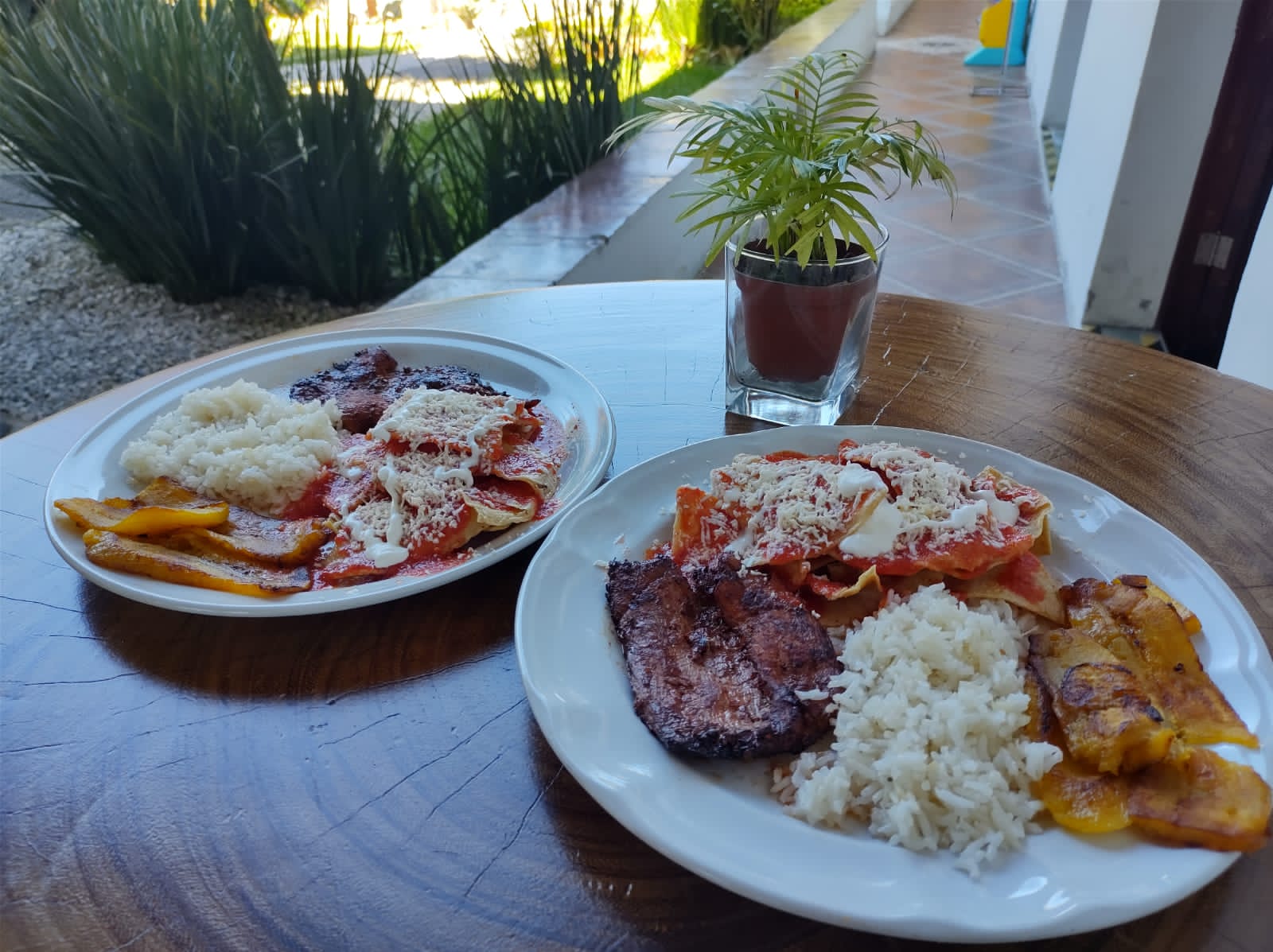 Bossa Nova Coatepec image 9