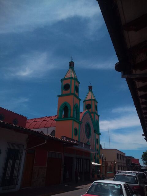 Hoja Santa image 5