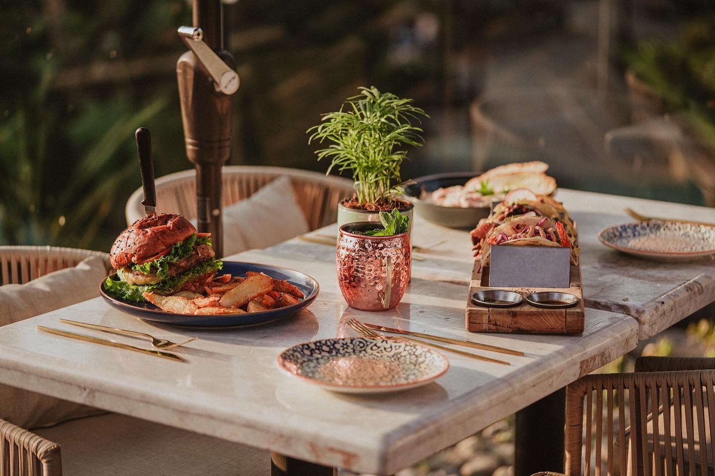 Lerdo Terraza image 2