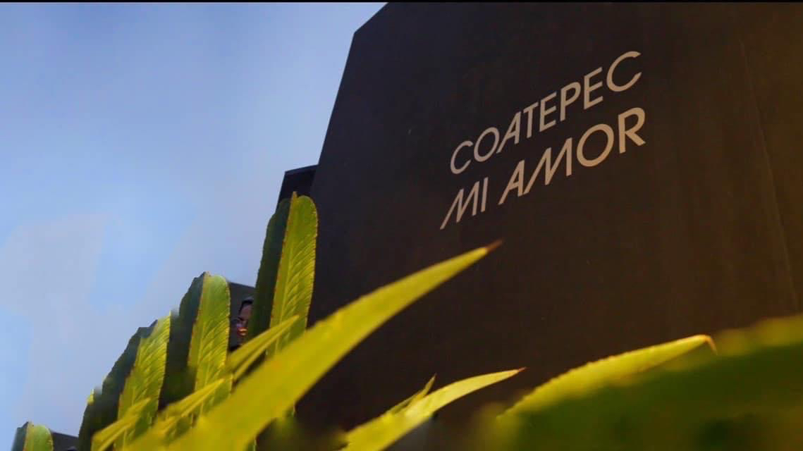 Lerdo Terraza image 3