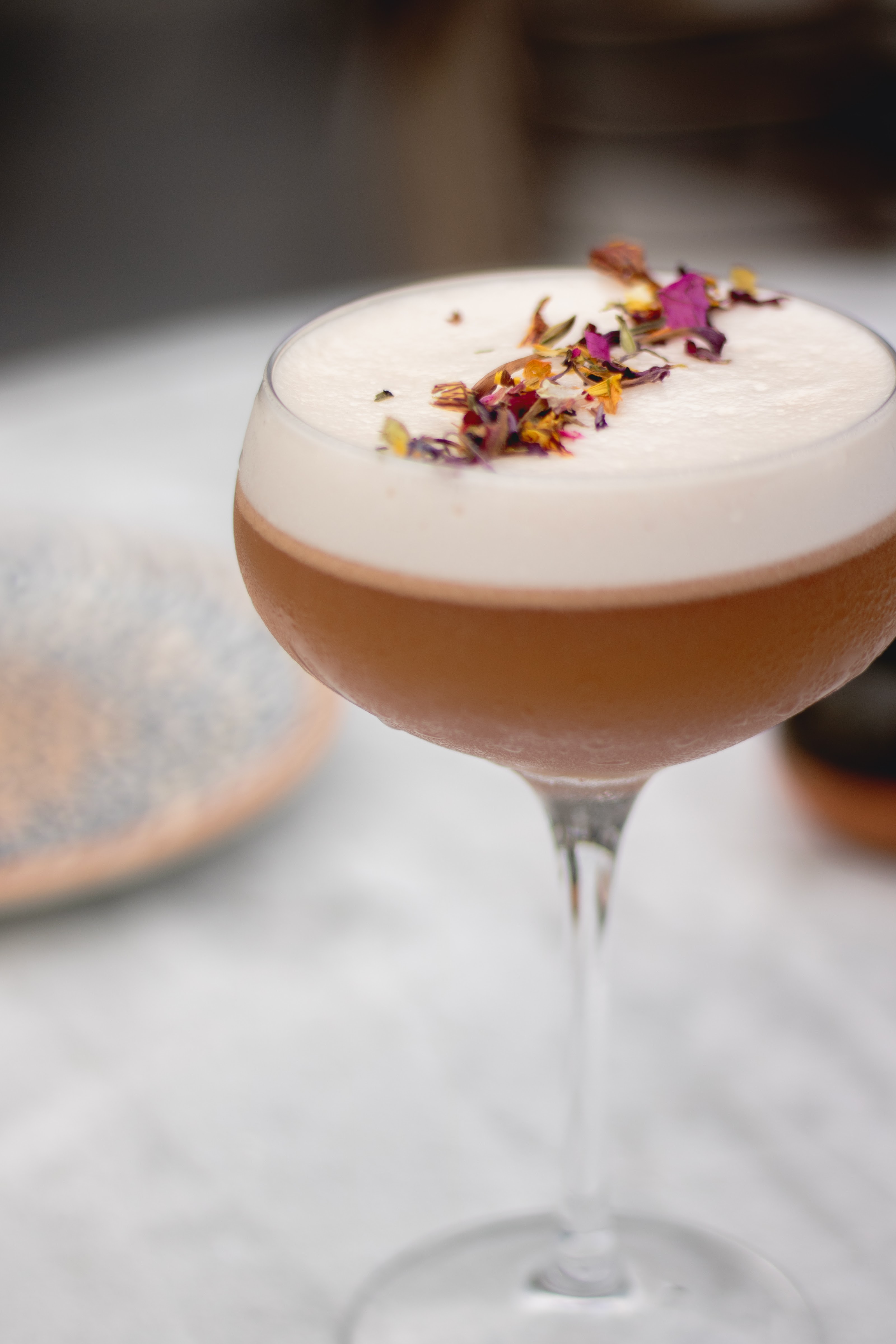 Lerdo Terraza image 4