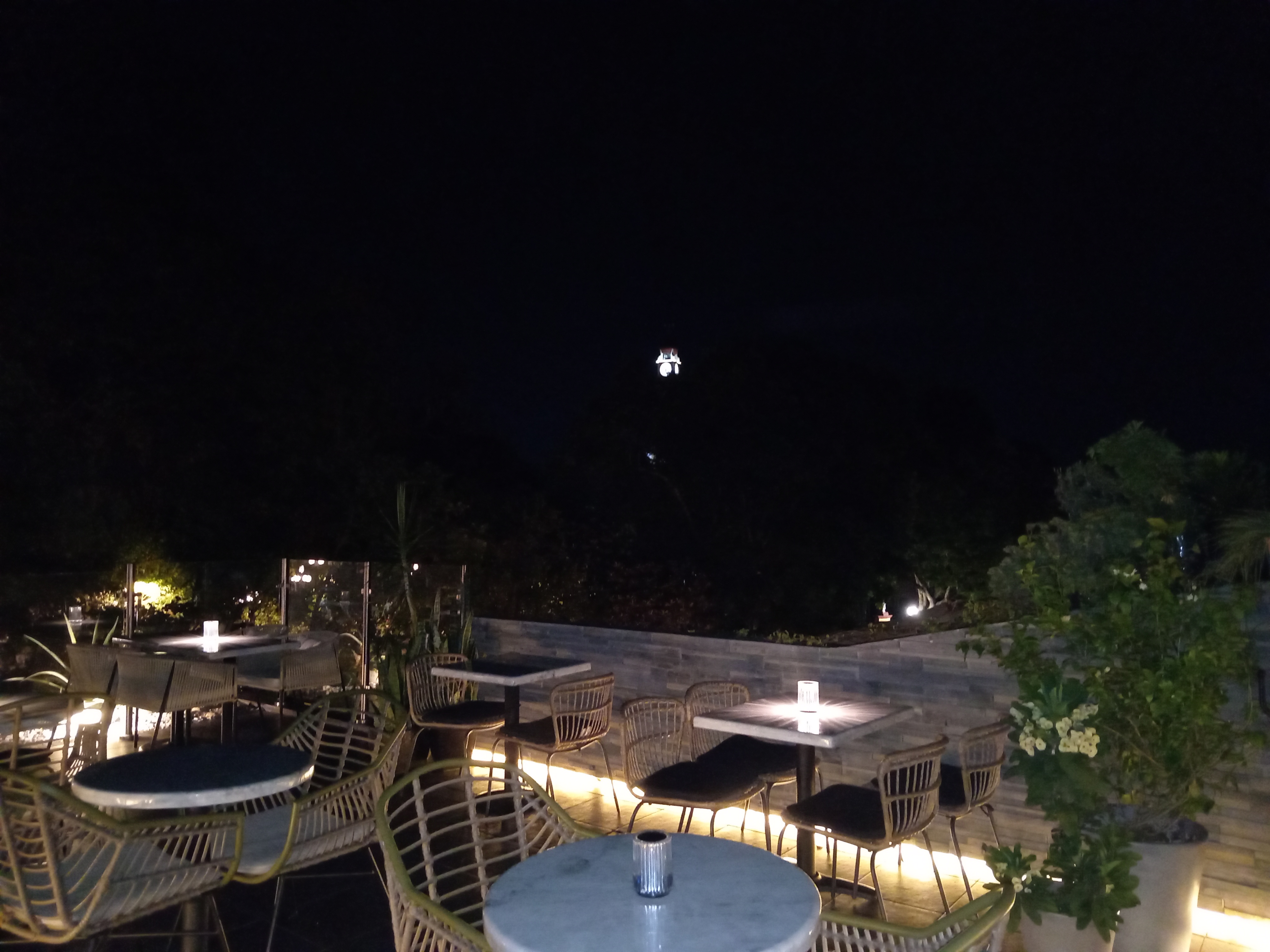 Lerdo Terraza image 7