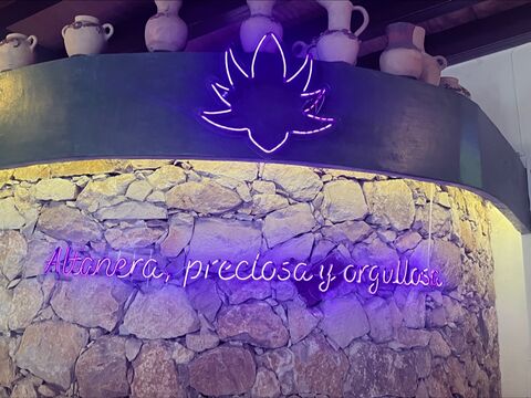 Mar y Agave image 7