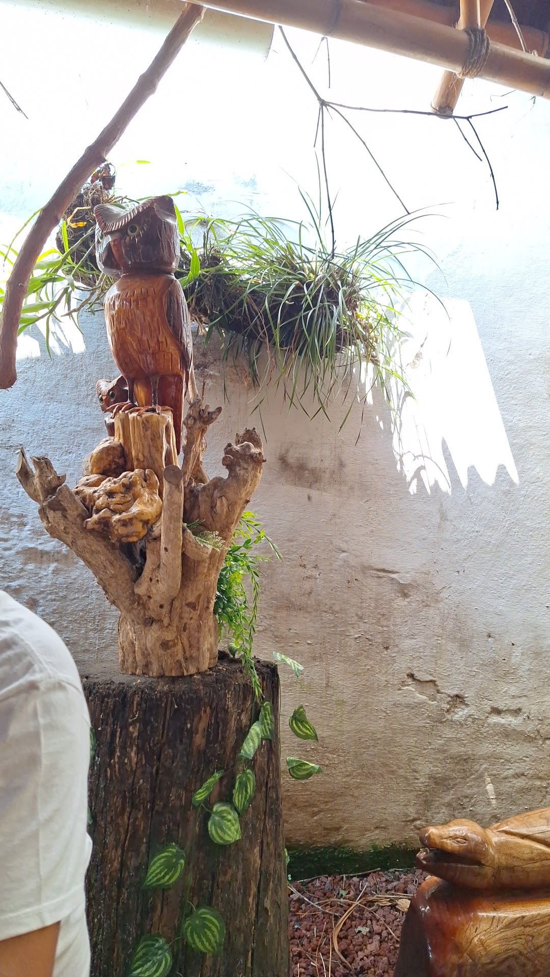 La Casa de Villa image 4