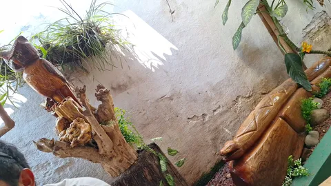 La Casa de Villa image 7