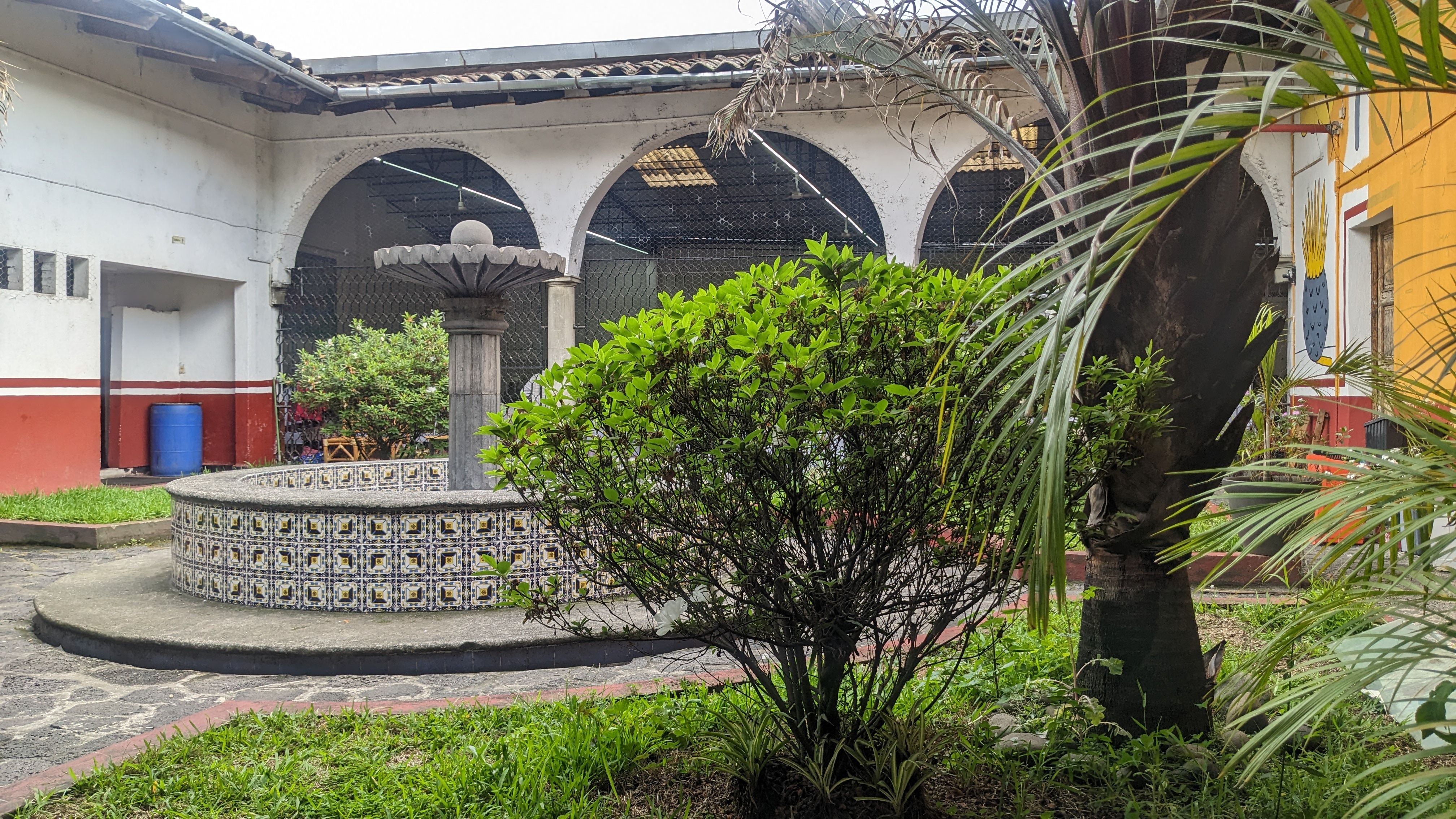 La Ostra del Golfo Coatepec image 6