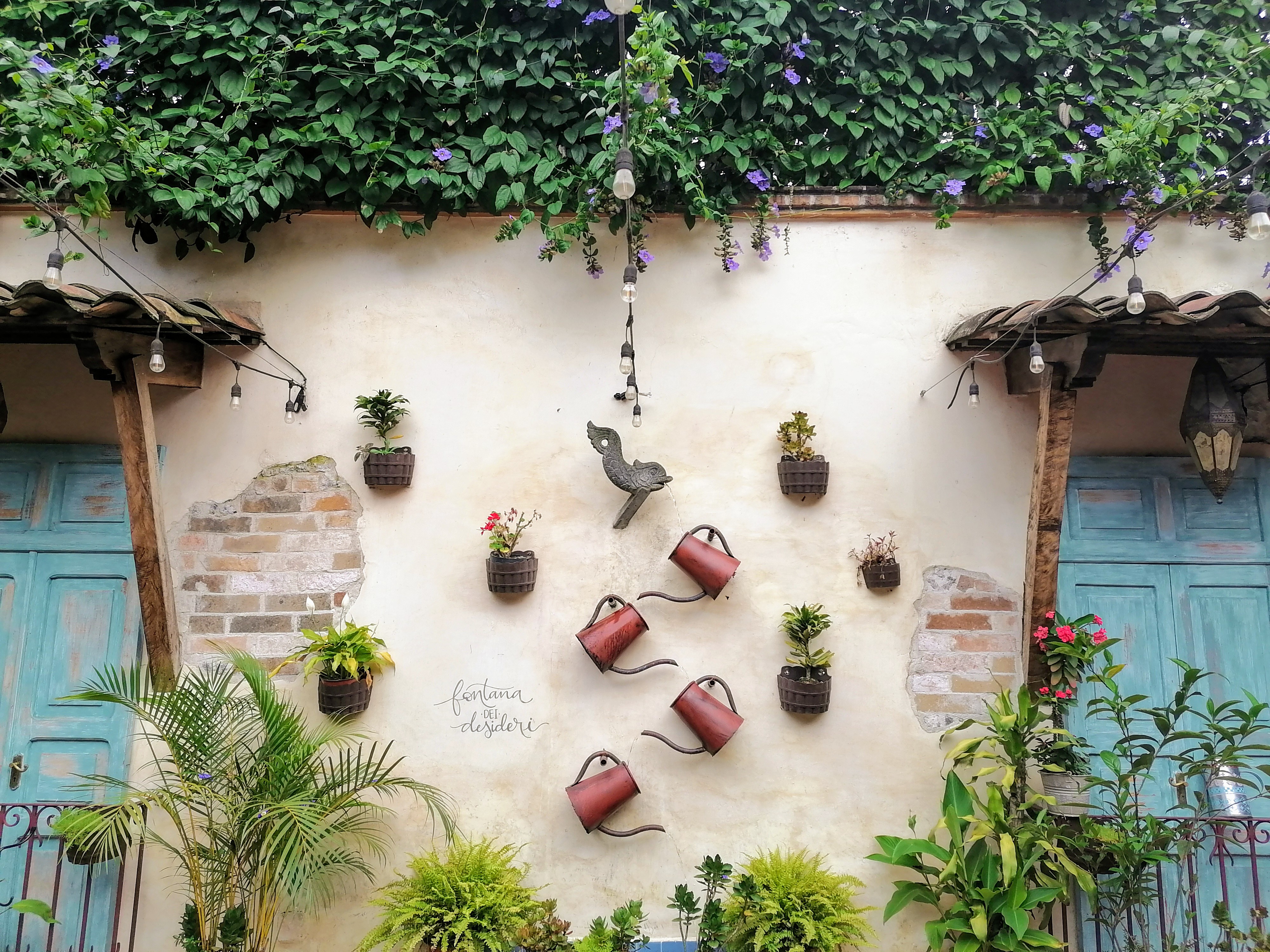 Pizzería Trattoria Roma image 3