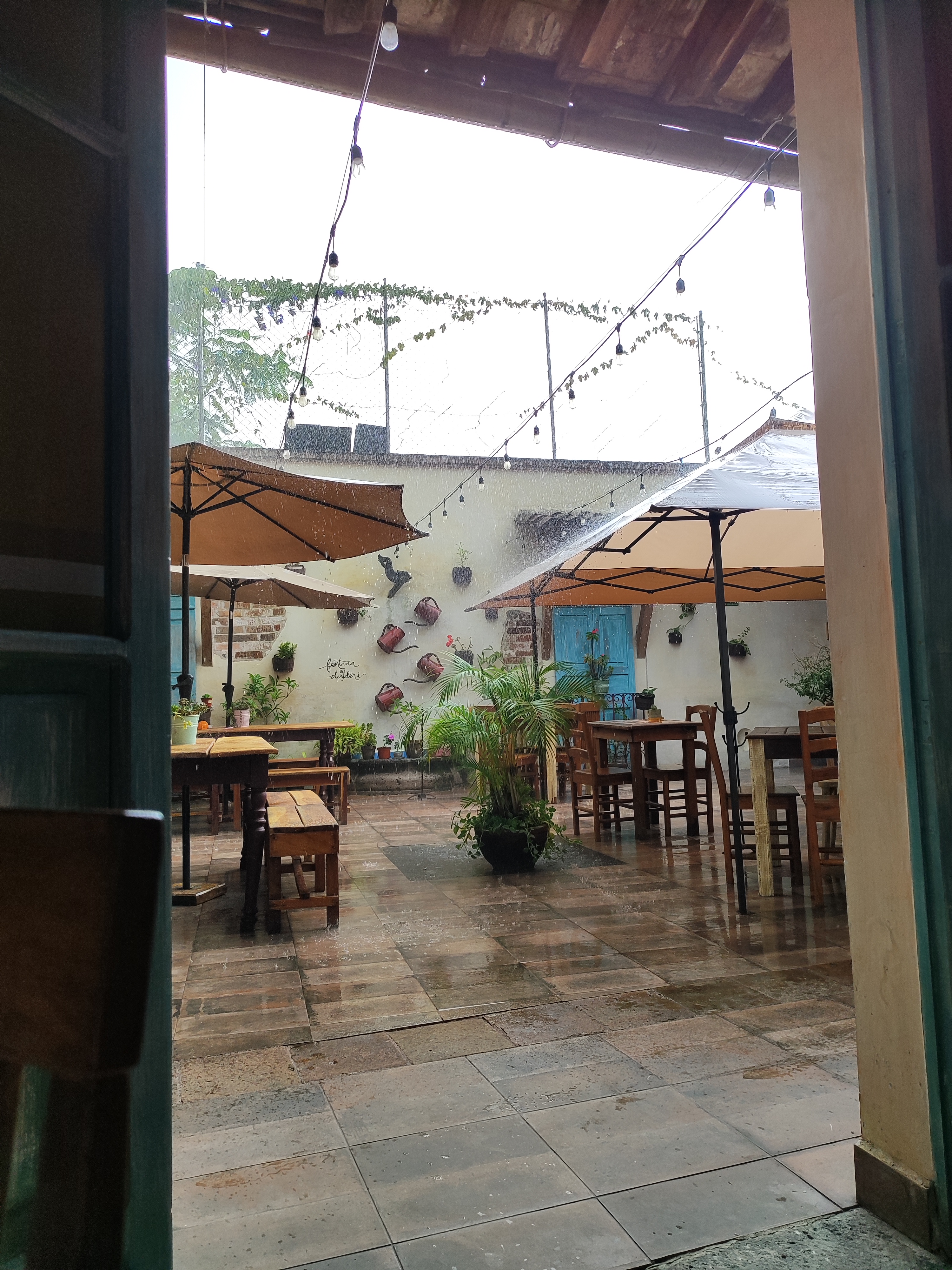 Pizzería Trattoria Roma image 5