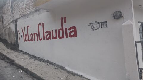 La Peña Del Potro image 2