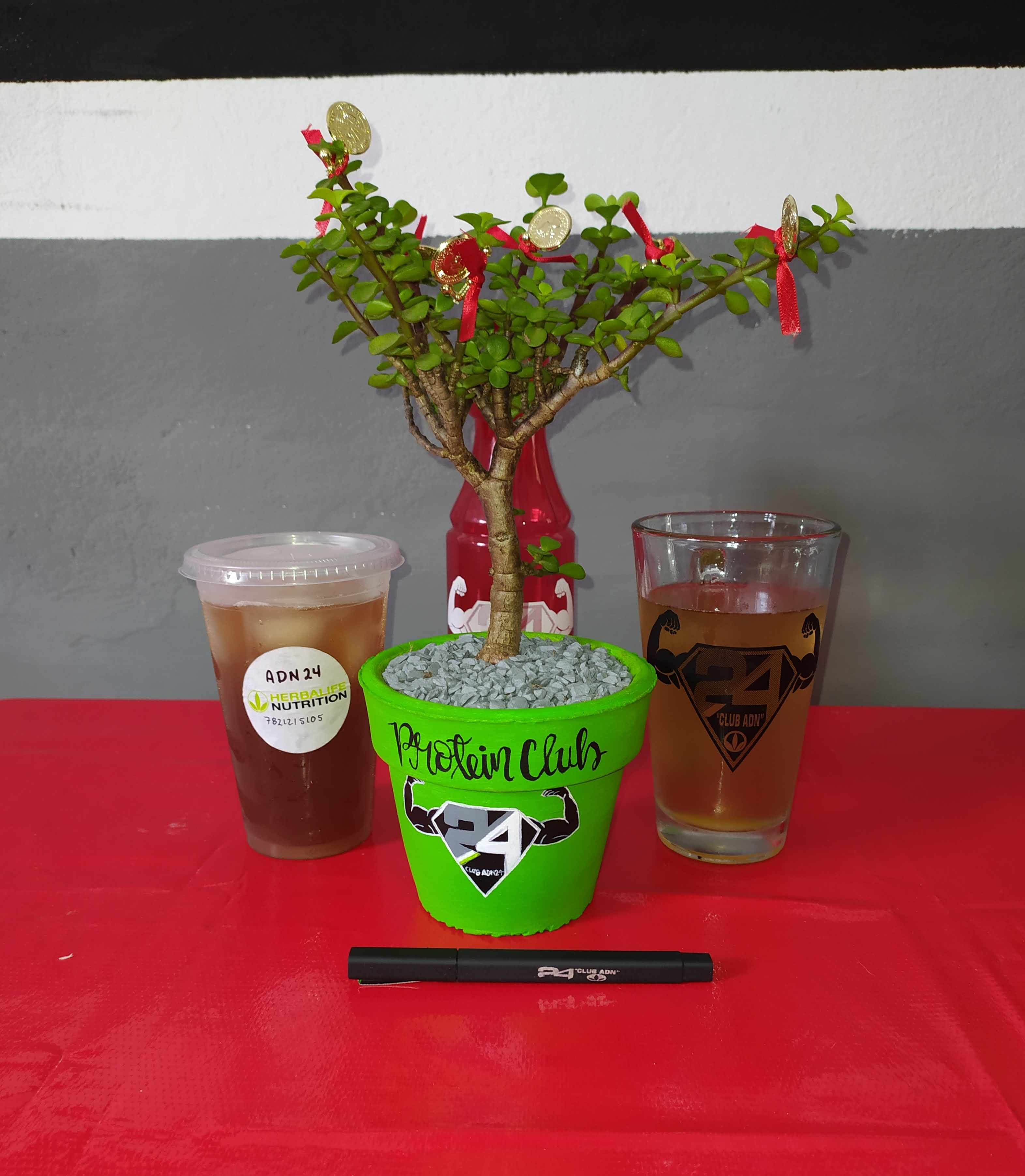 ADN24 Protein Club image 2