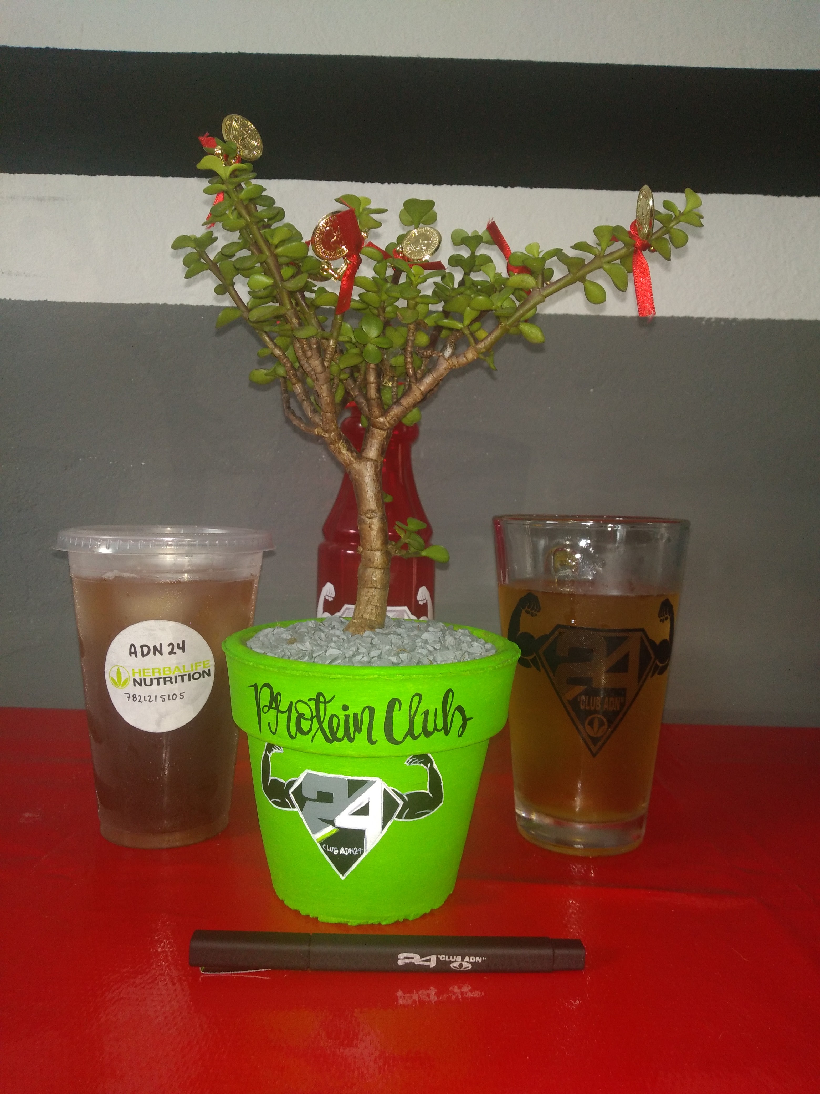 ADN24 Protein Club image 10