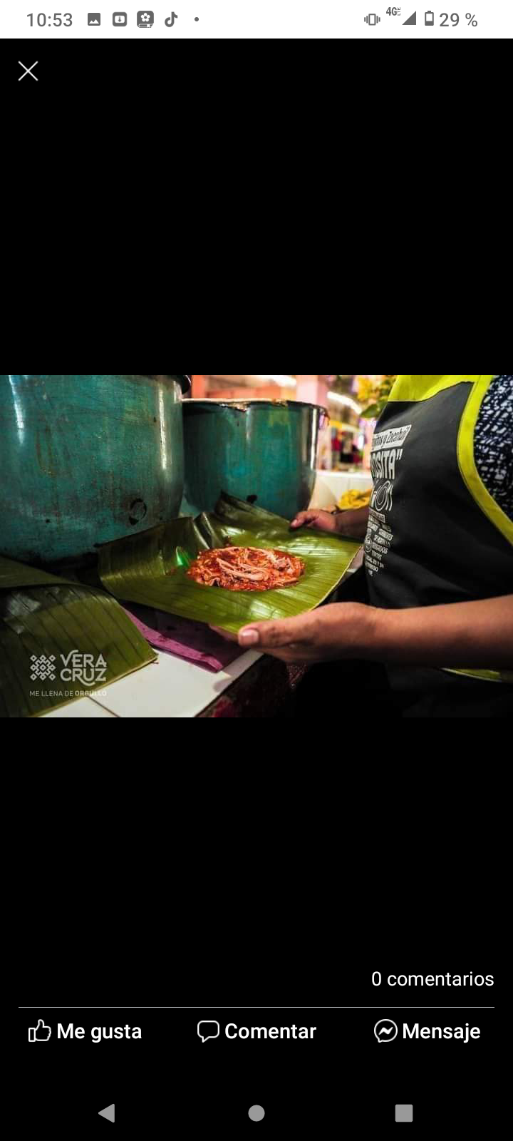 Zacahuil Rositaa image 2