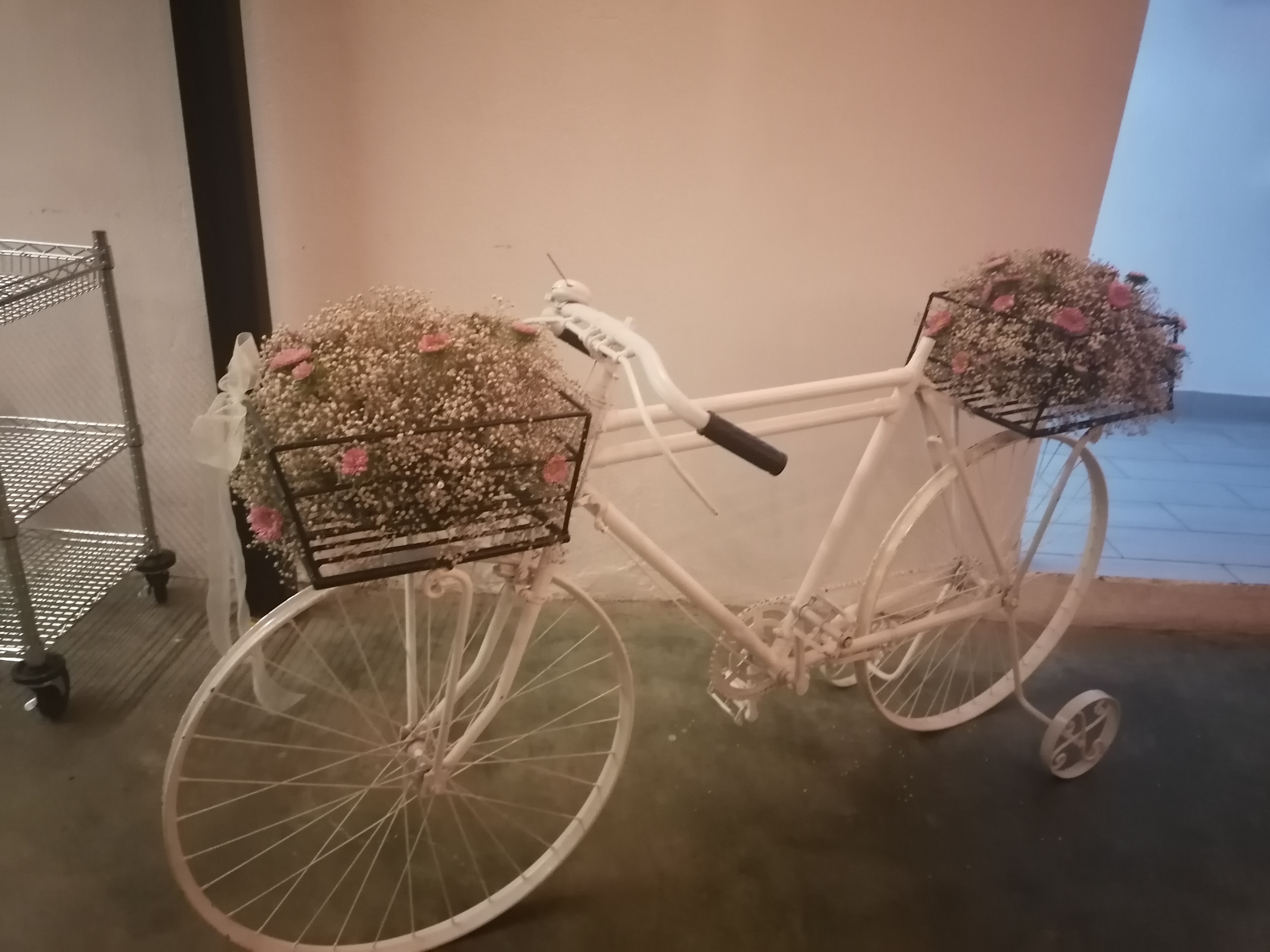 Casa Vieja 6 image 10