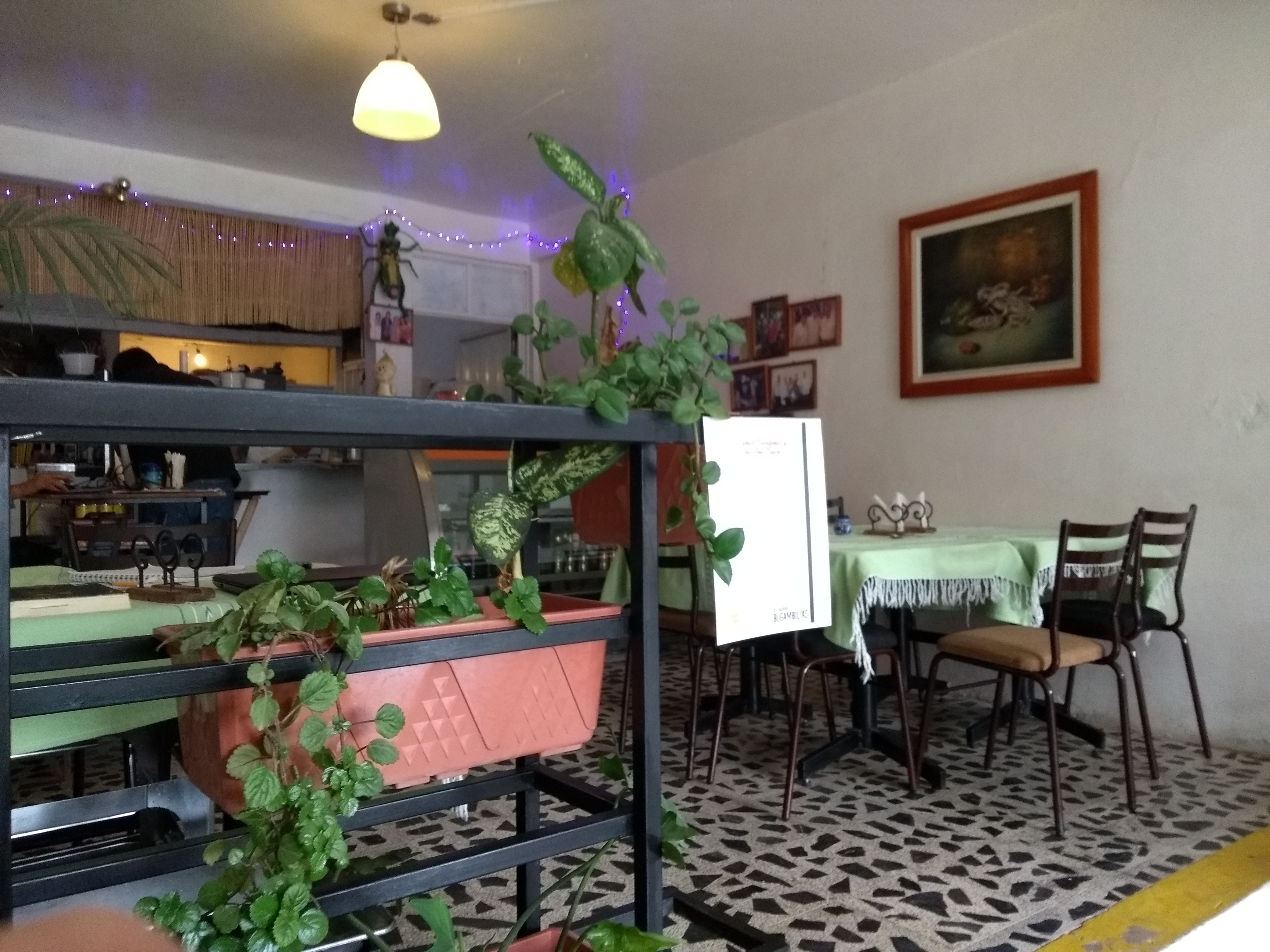 Restaurante Bugambilias image 5