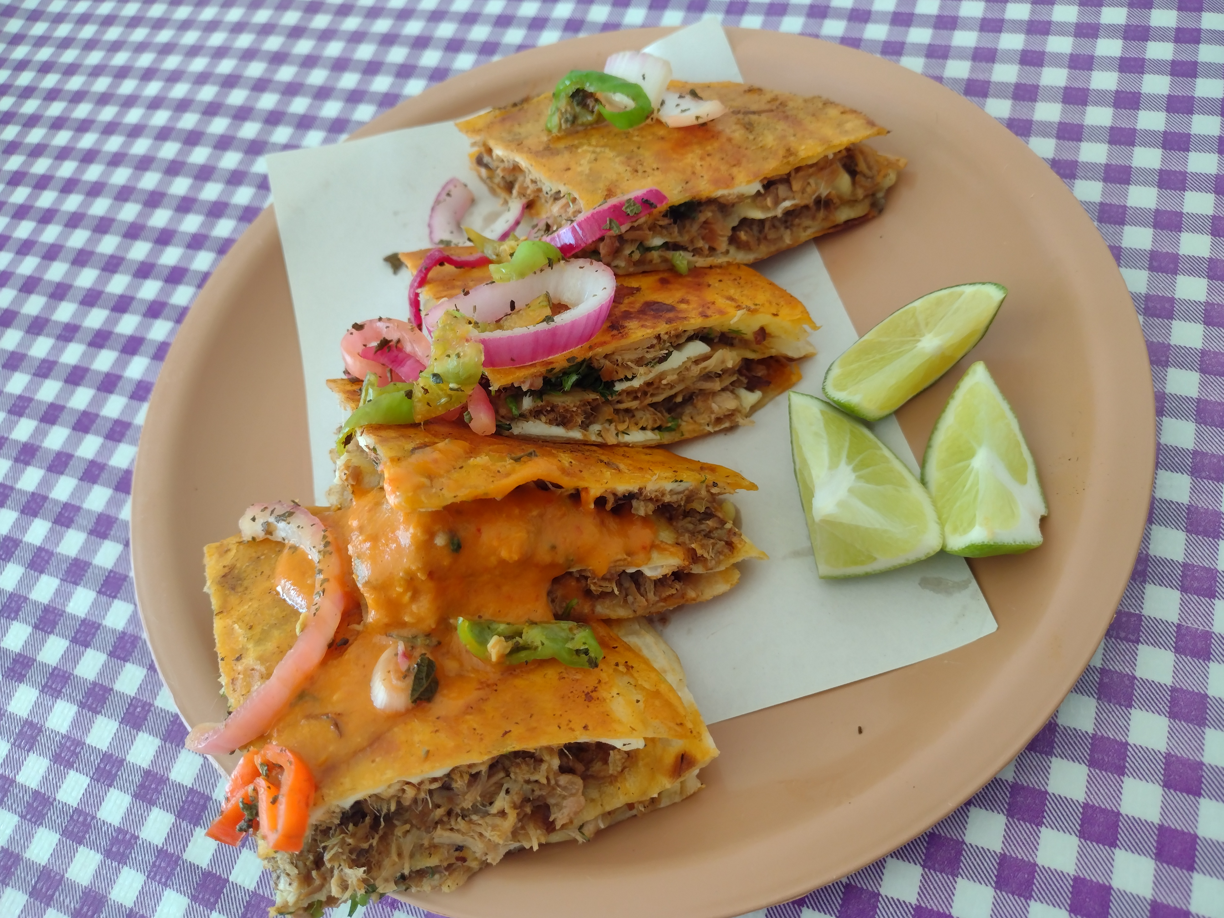 Birria Casa Morales image 8