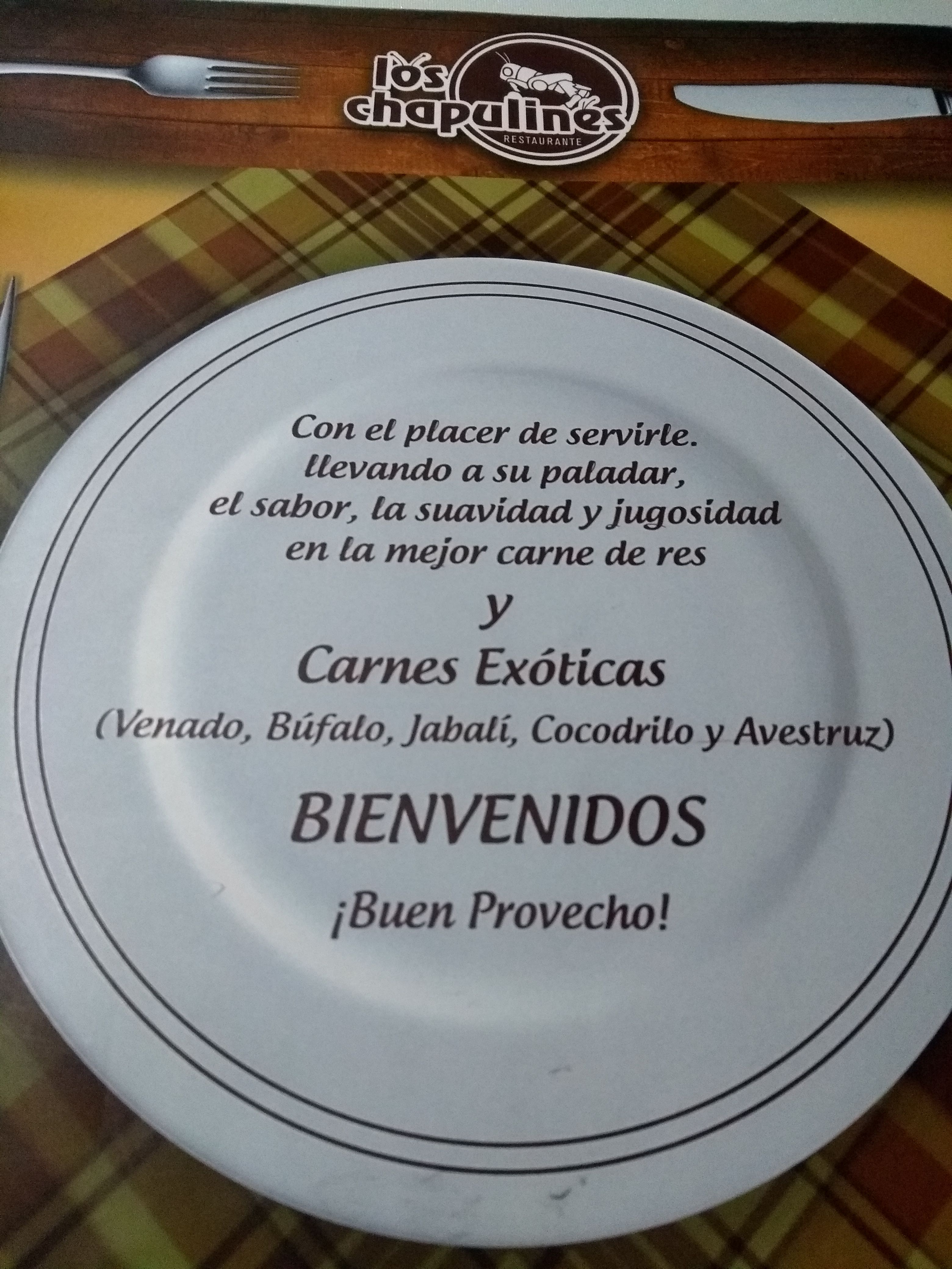 Los Chapulines image 8