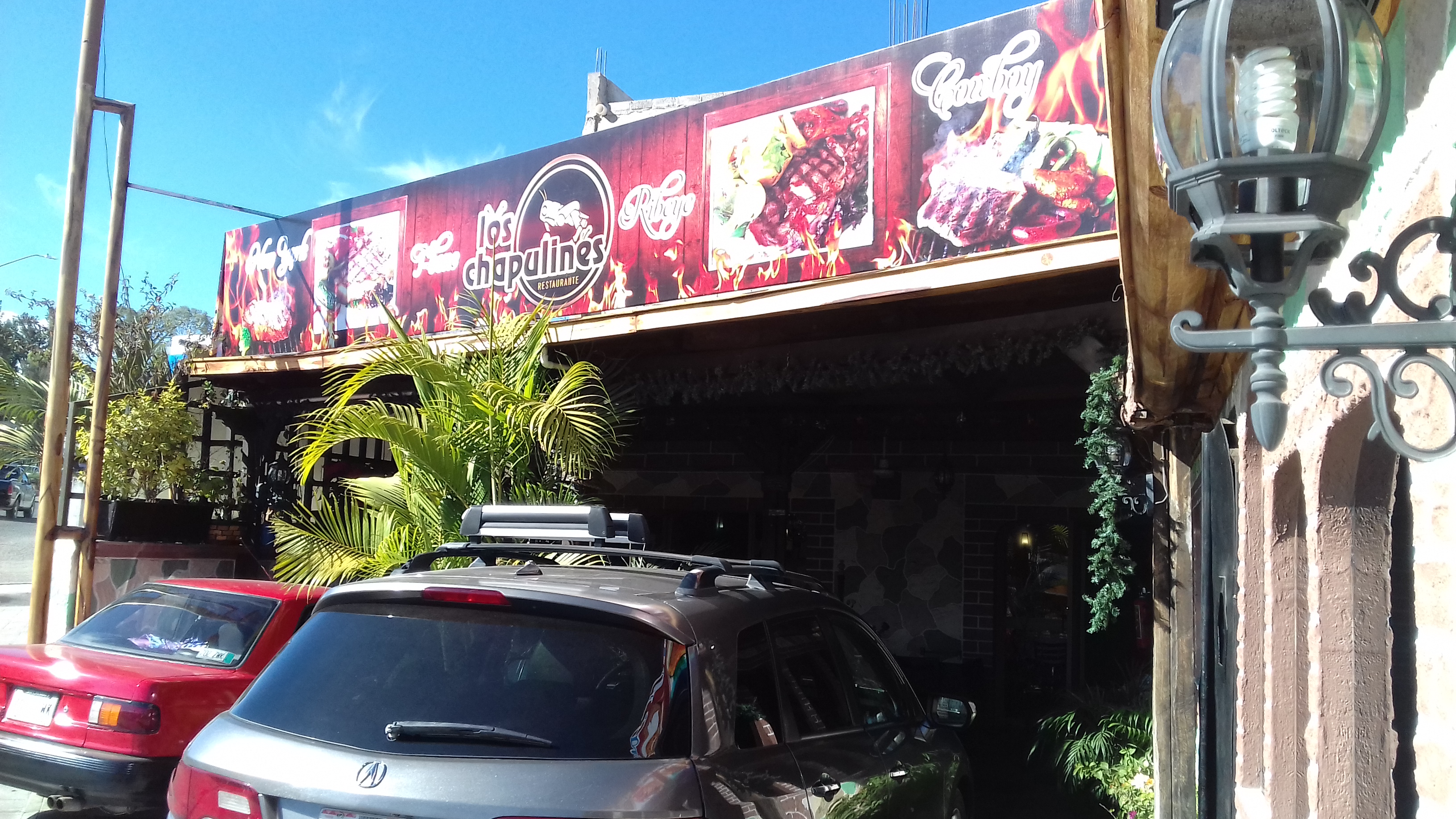 Los Chapulines image 9