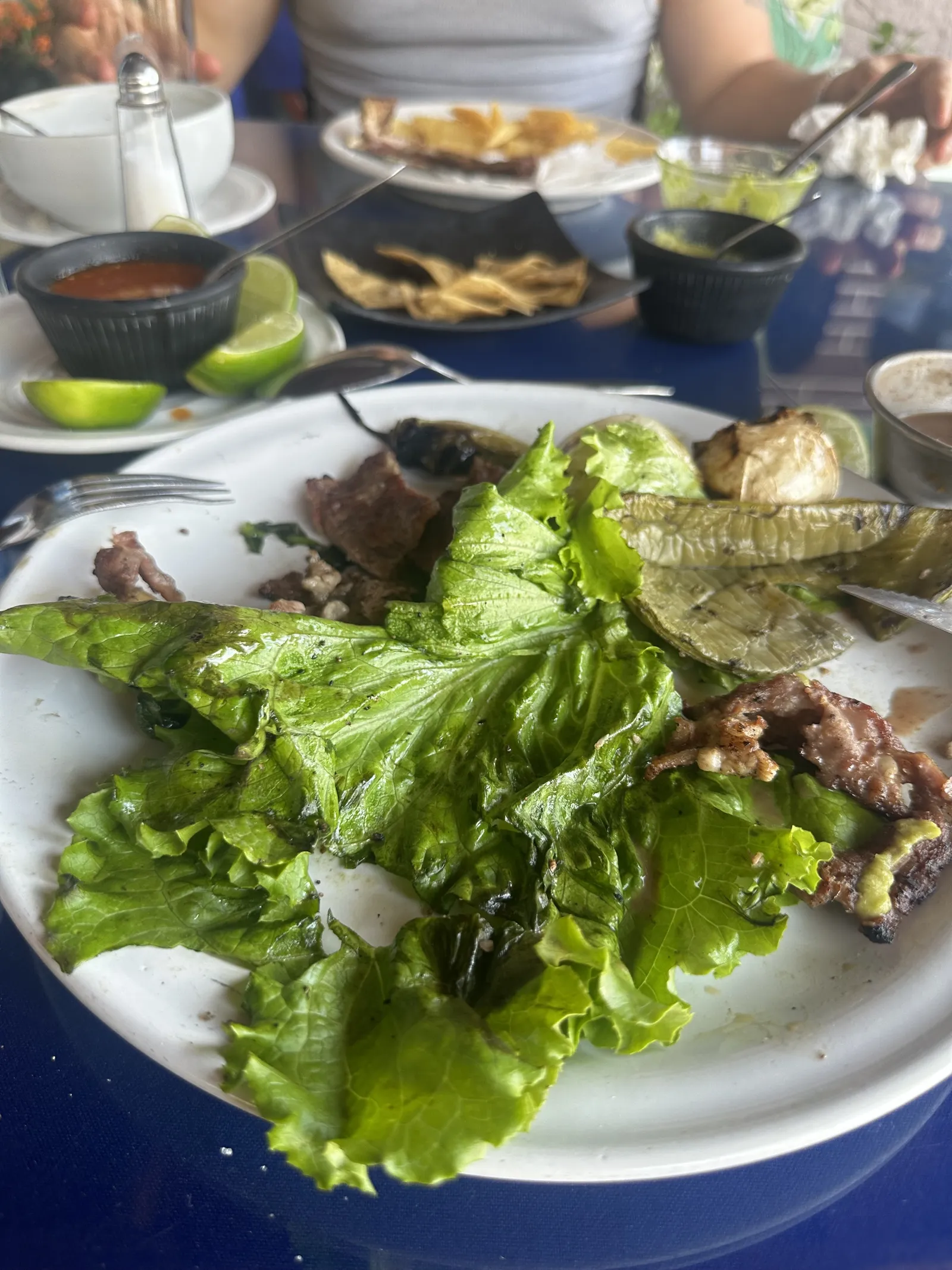 Los Chapulines image 10