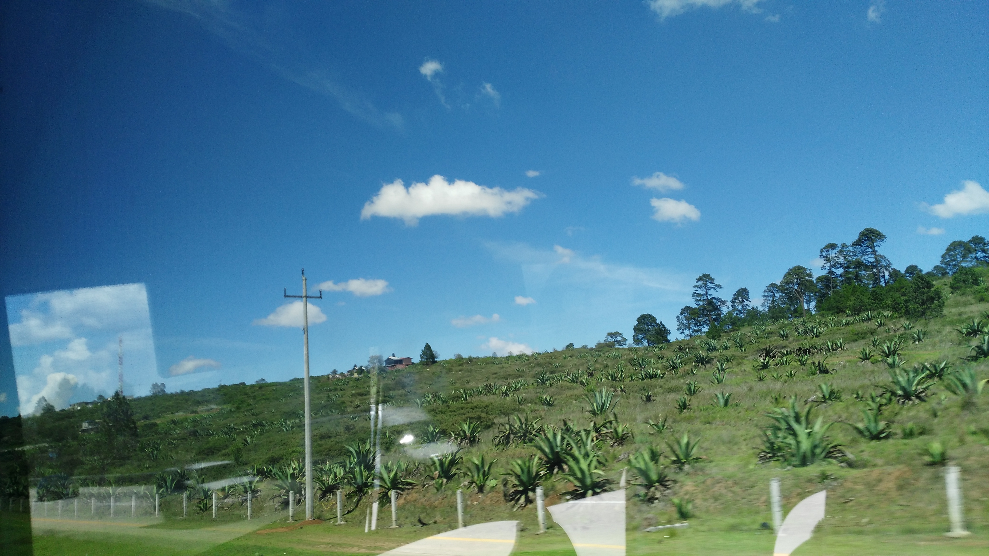 Comedor Malibu image 3