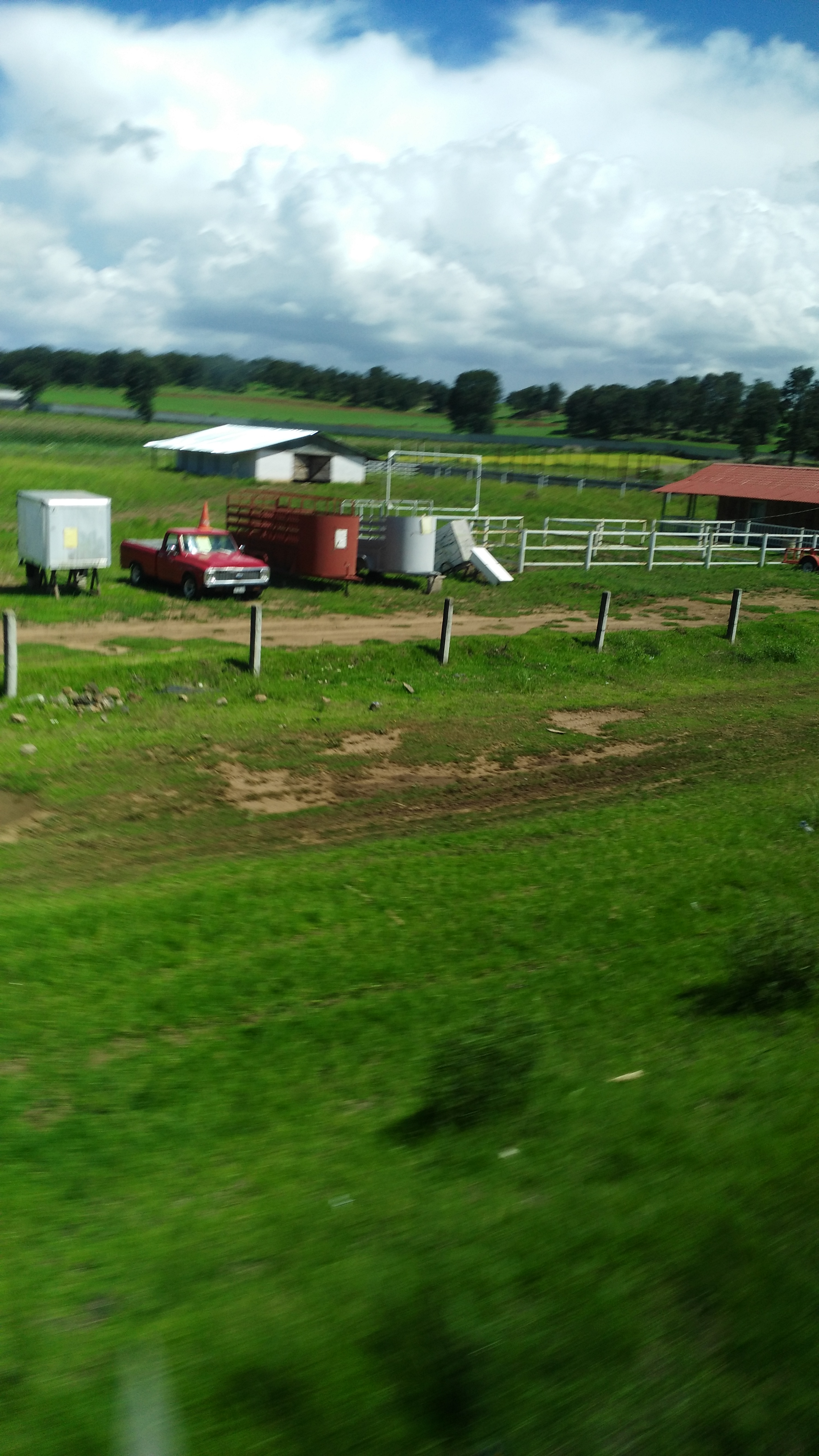 Comedor Malibu image 6