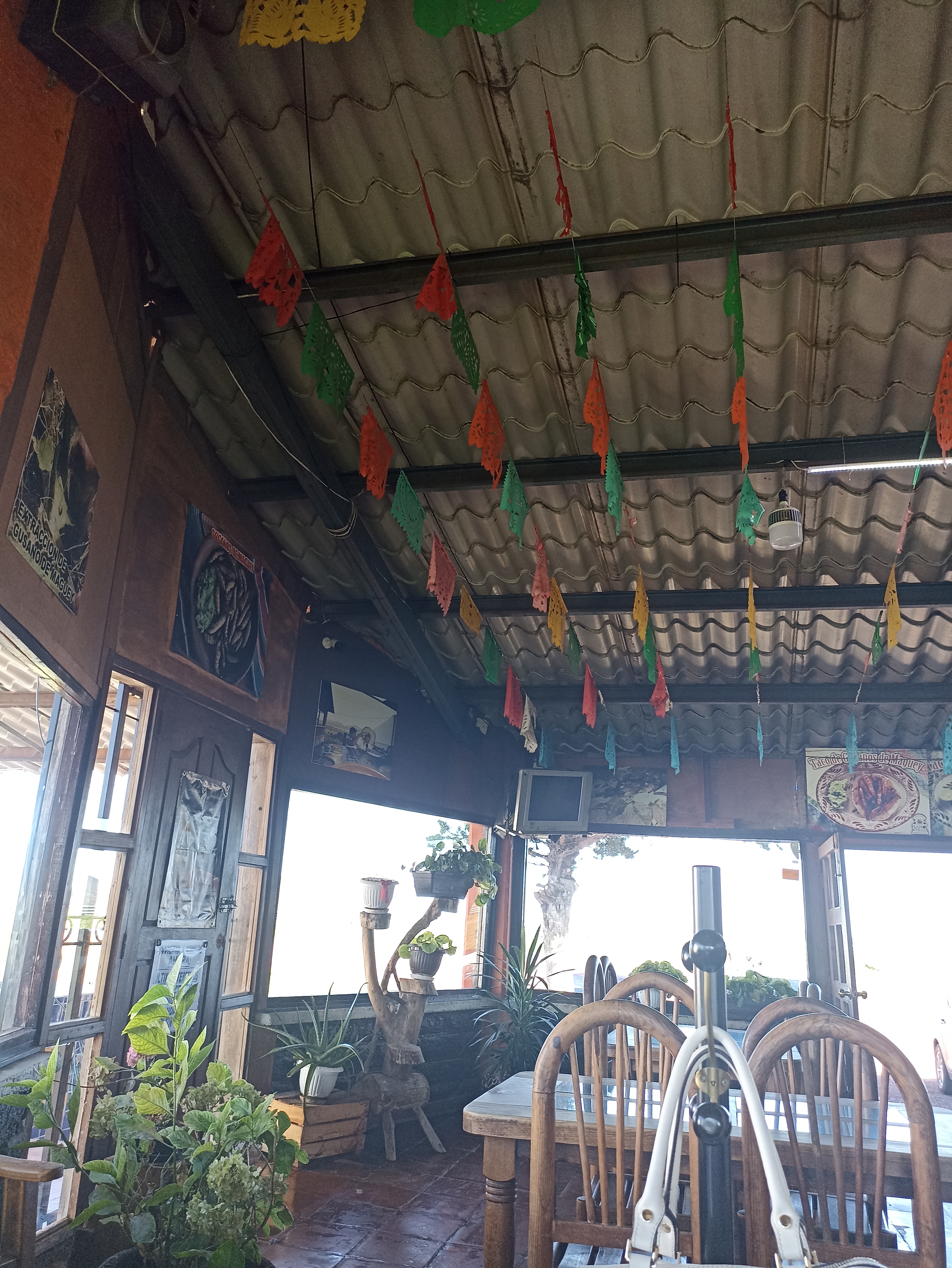 Restaurante Los Escamoles de San Miguel image 4