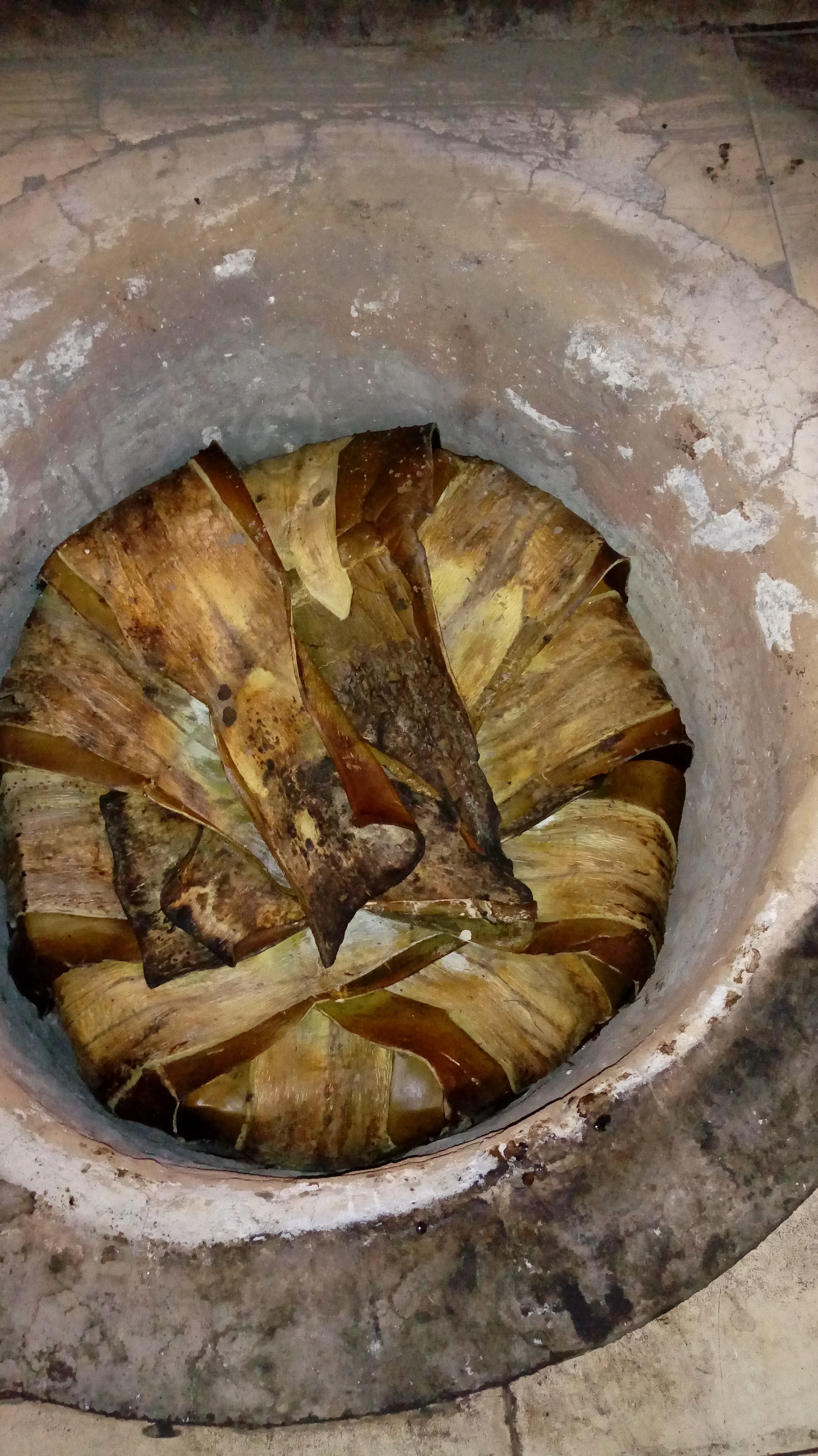 Barbacoa "el Guero" Villarreal image 9