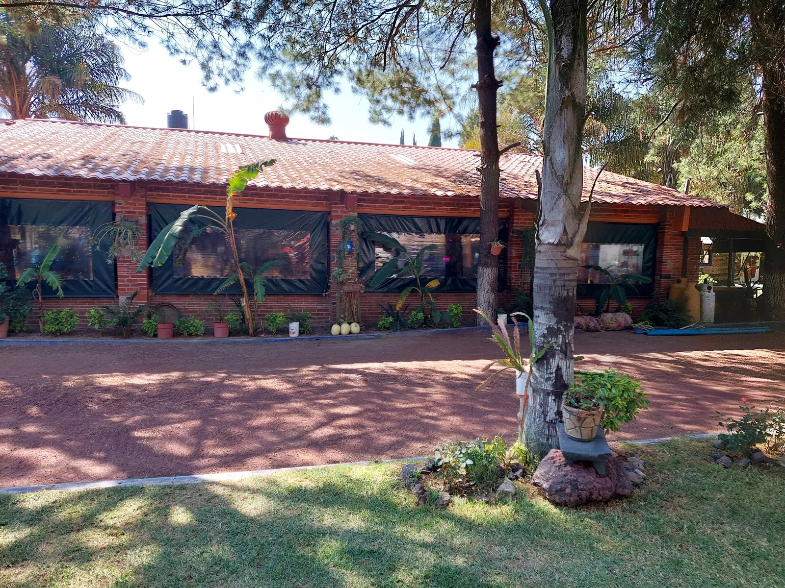 El Capulin image 7