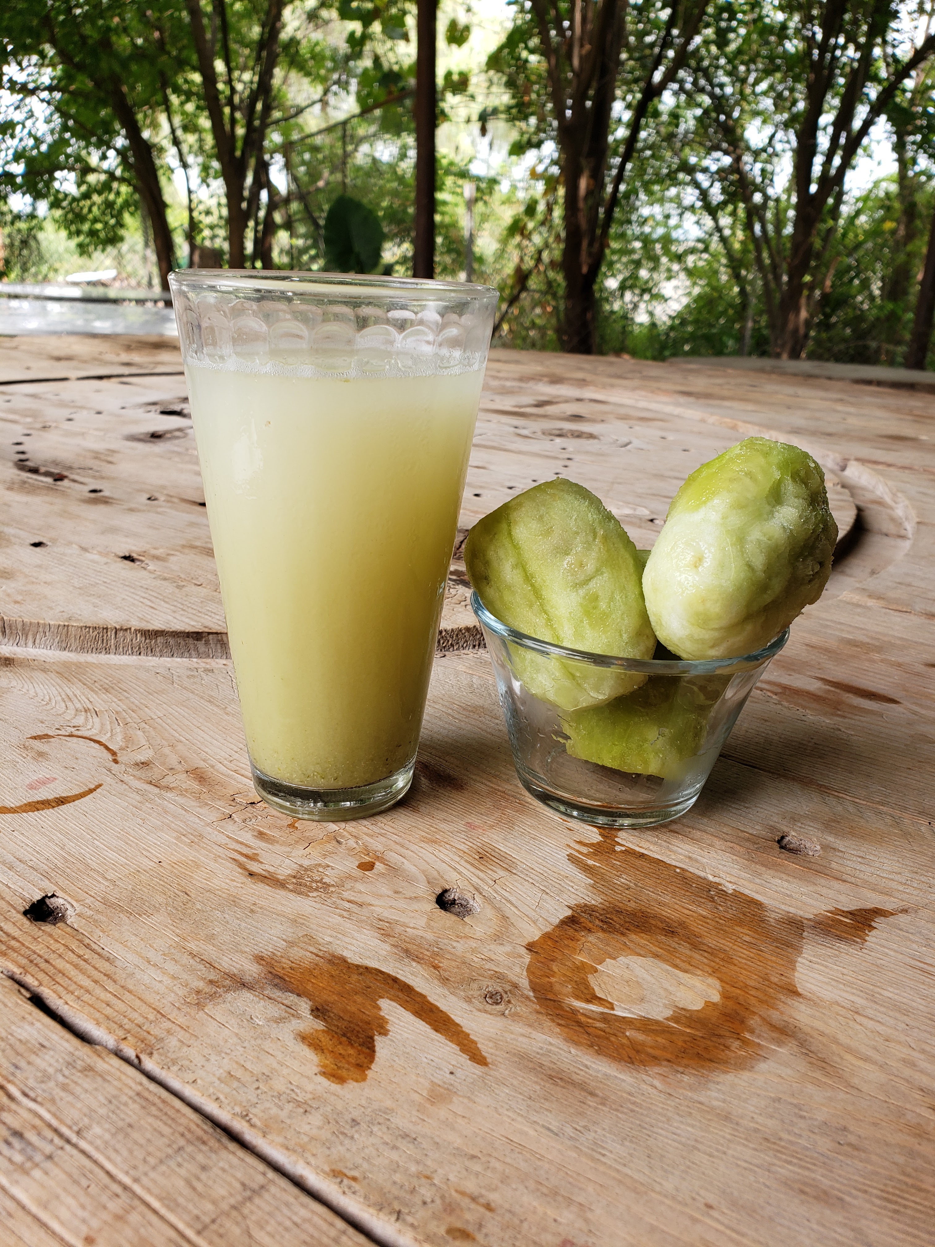 Tinacal La Nopalera image 2