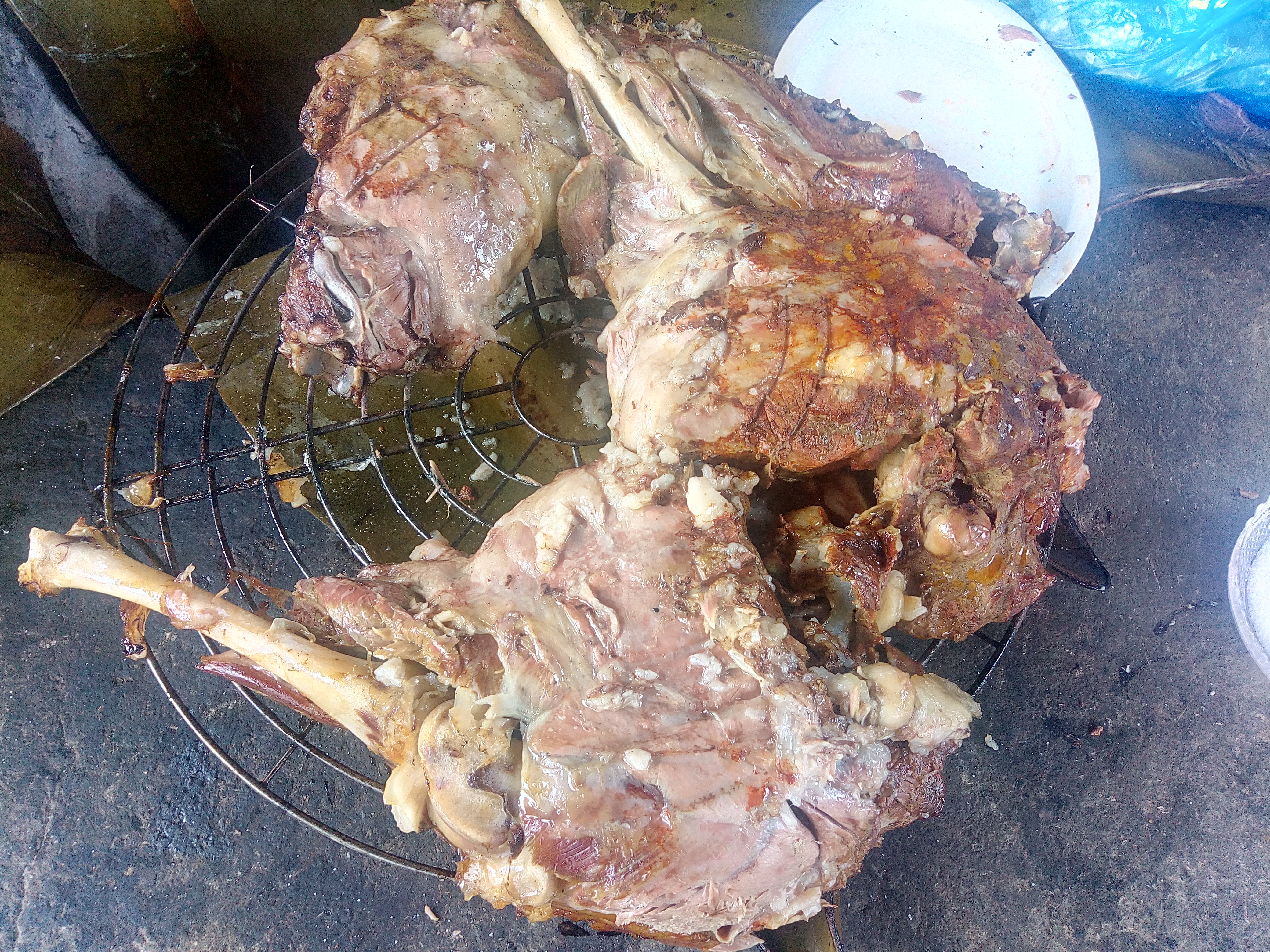 Tinacal La Nopalera image 4