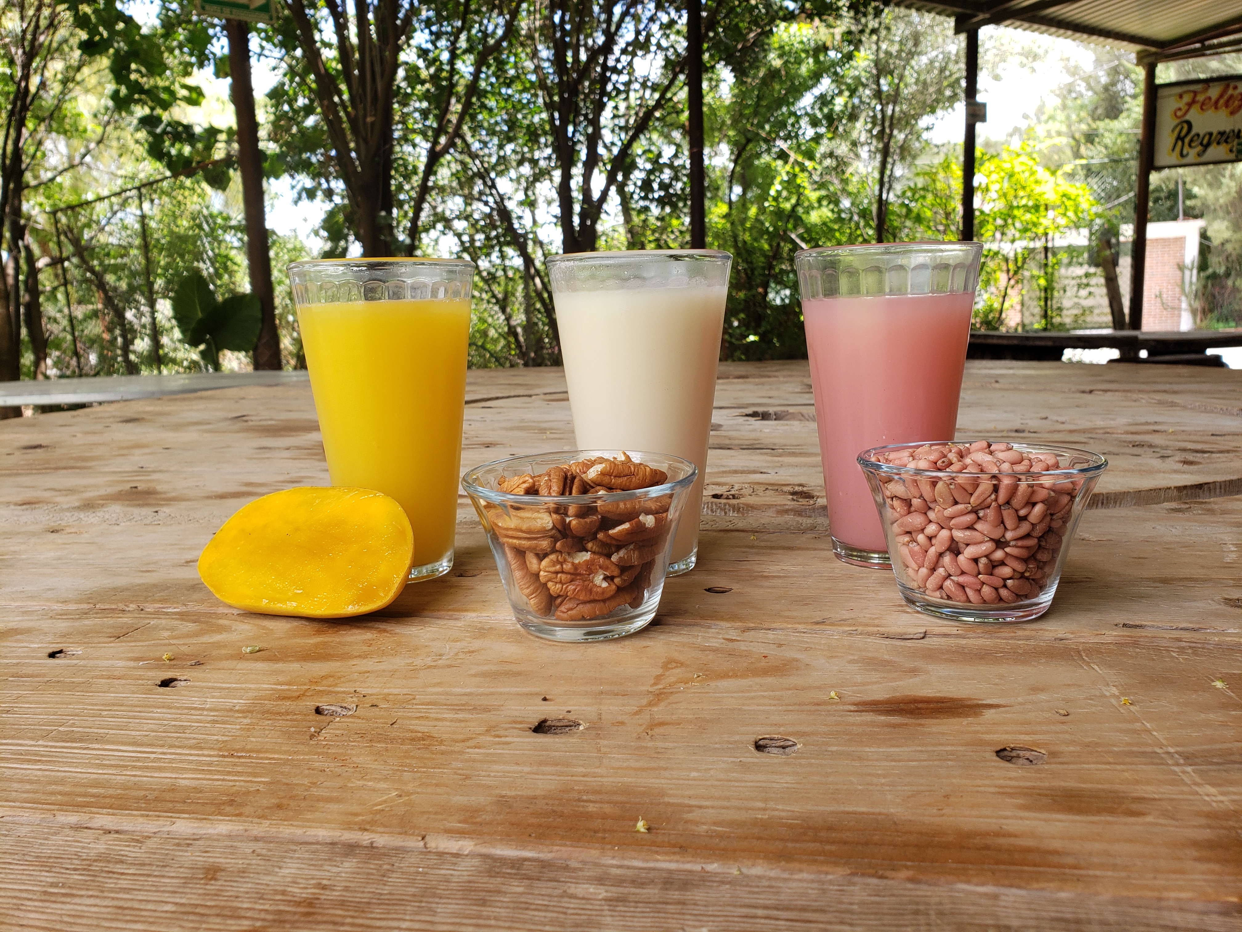 Tinacal La Nopalera image 5