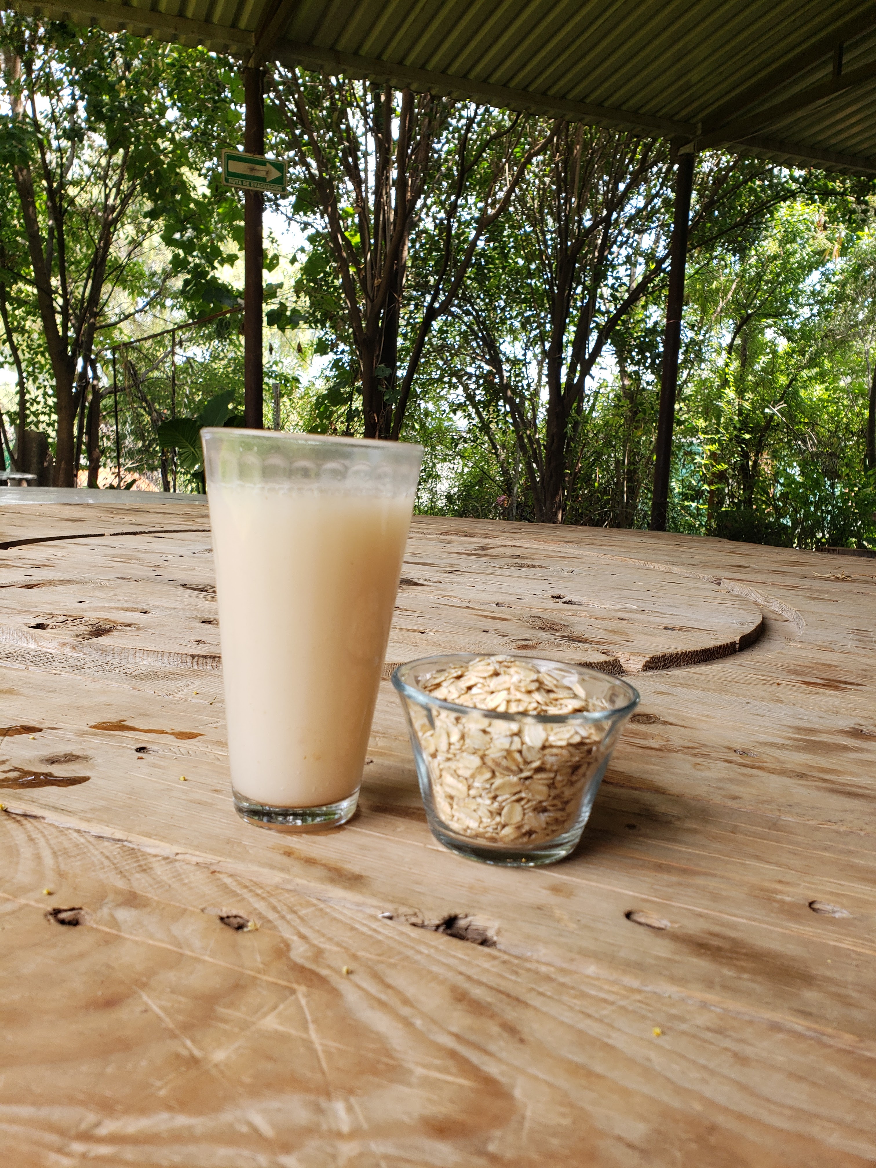 Tinacal La Nopalera image 6