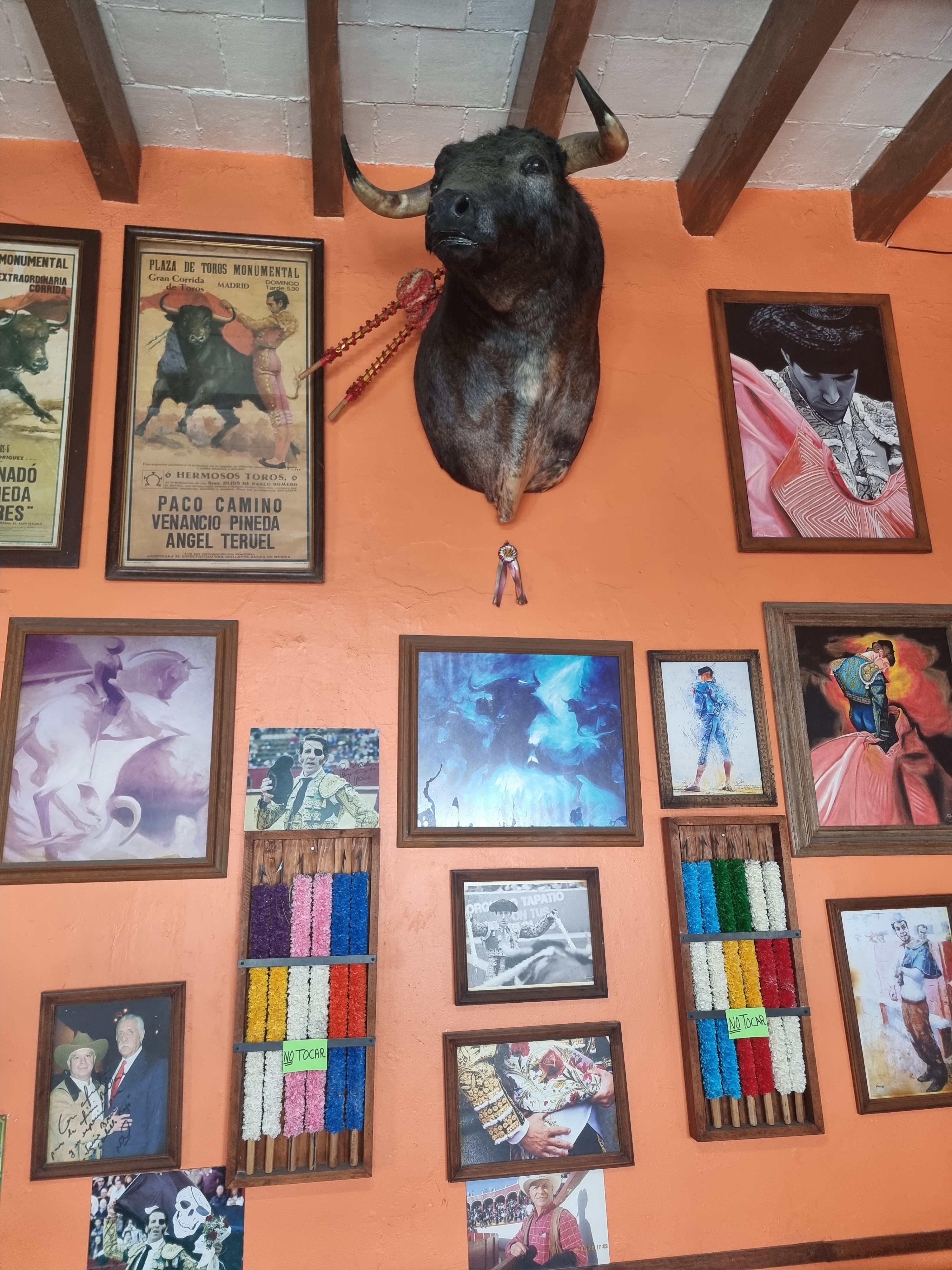 El Caballo Bayo image 5