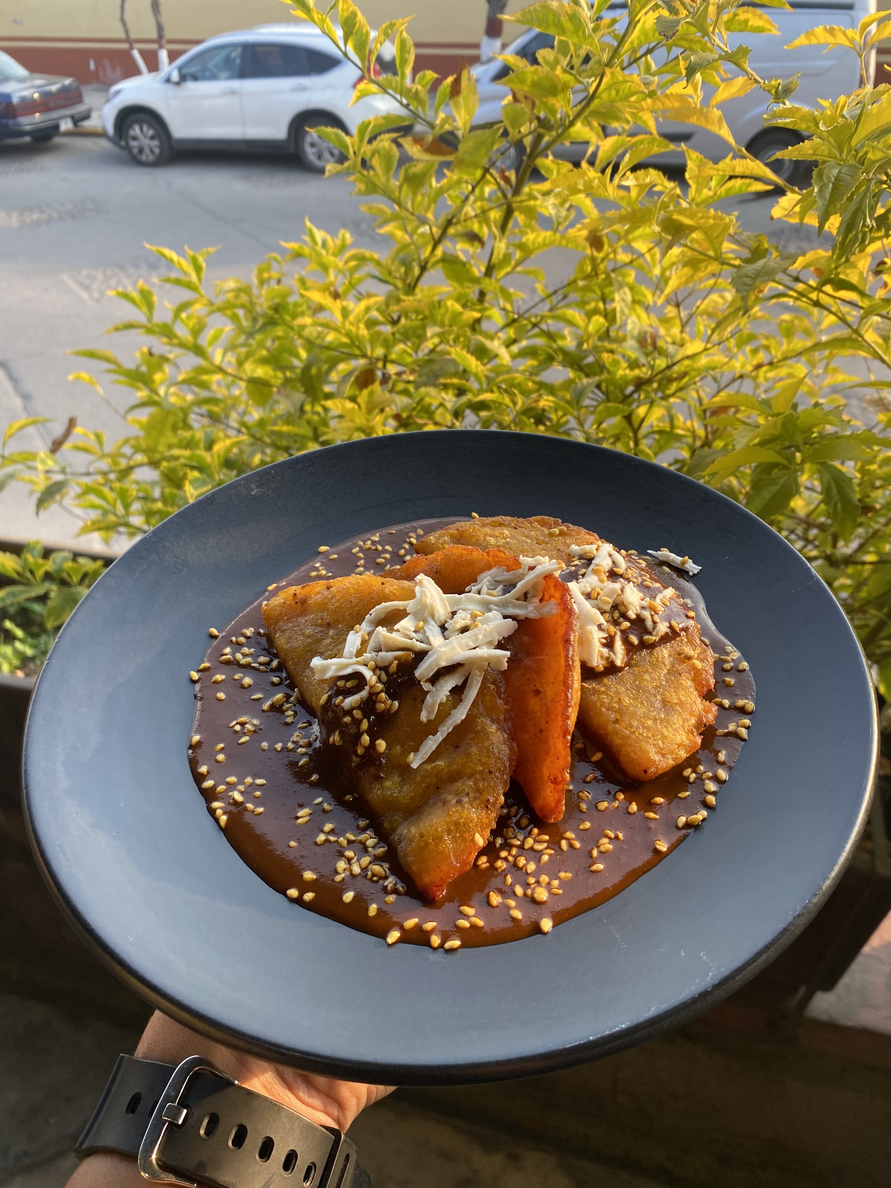 Restaurante Mayahuel Tepotzotlán image 10