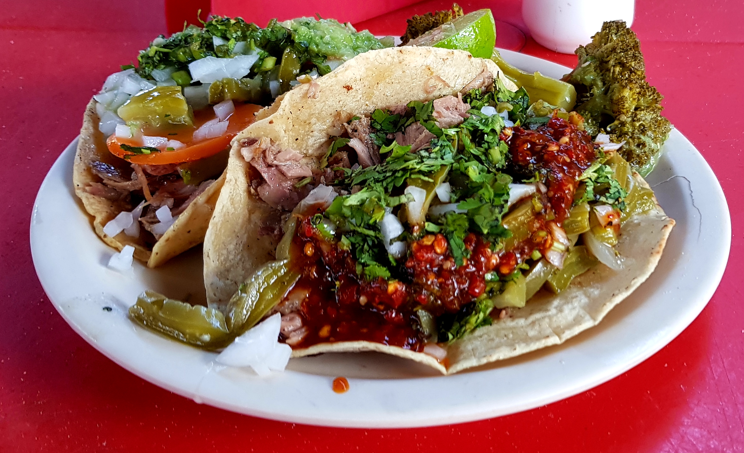 Barbacoa El Guero image 8