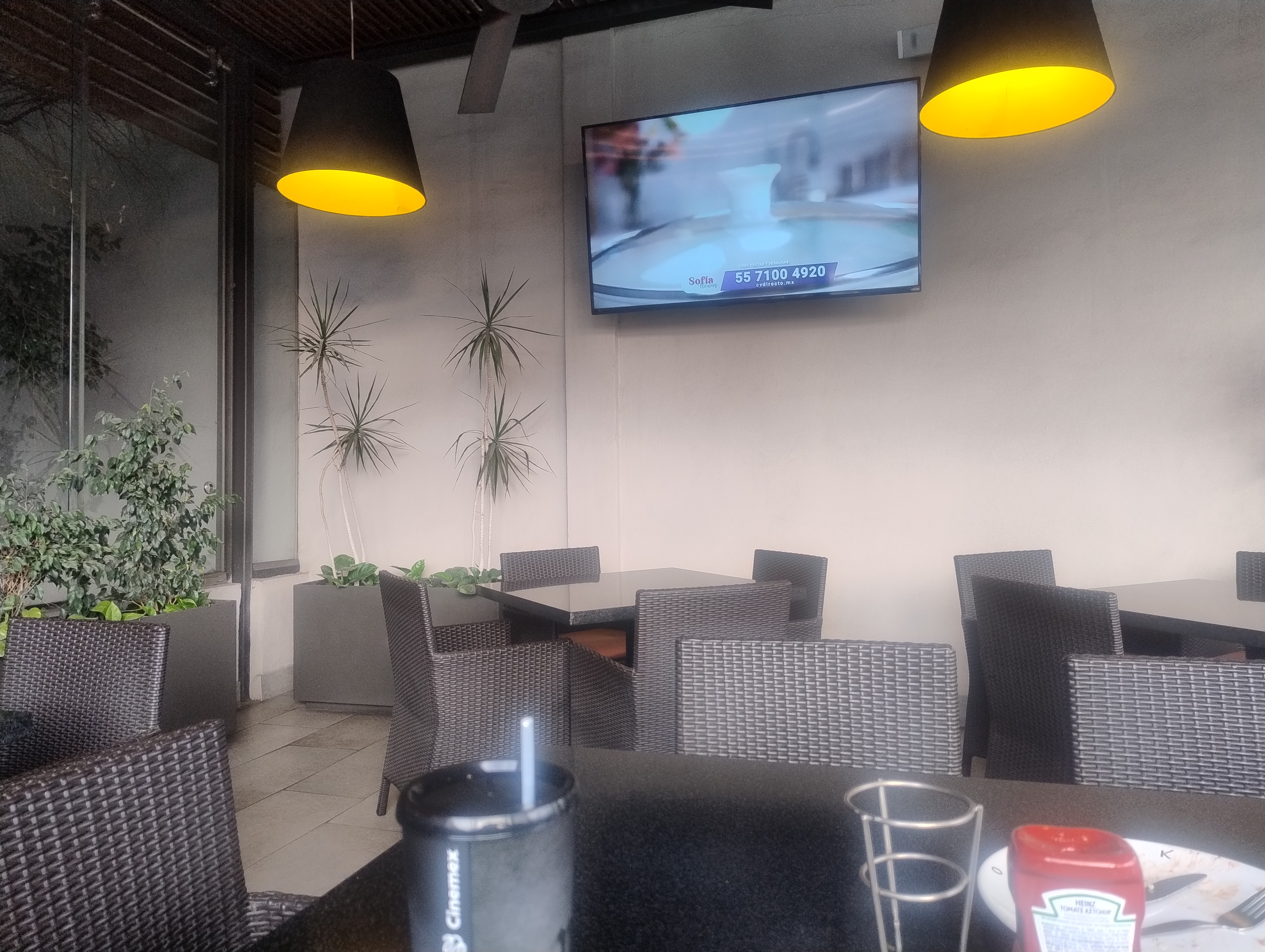 Toks San Miguel image 5