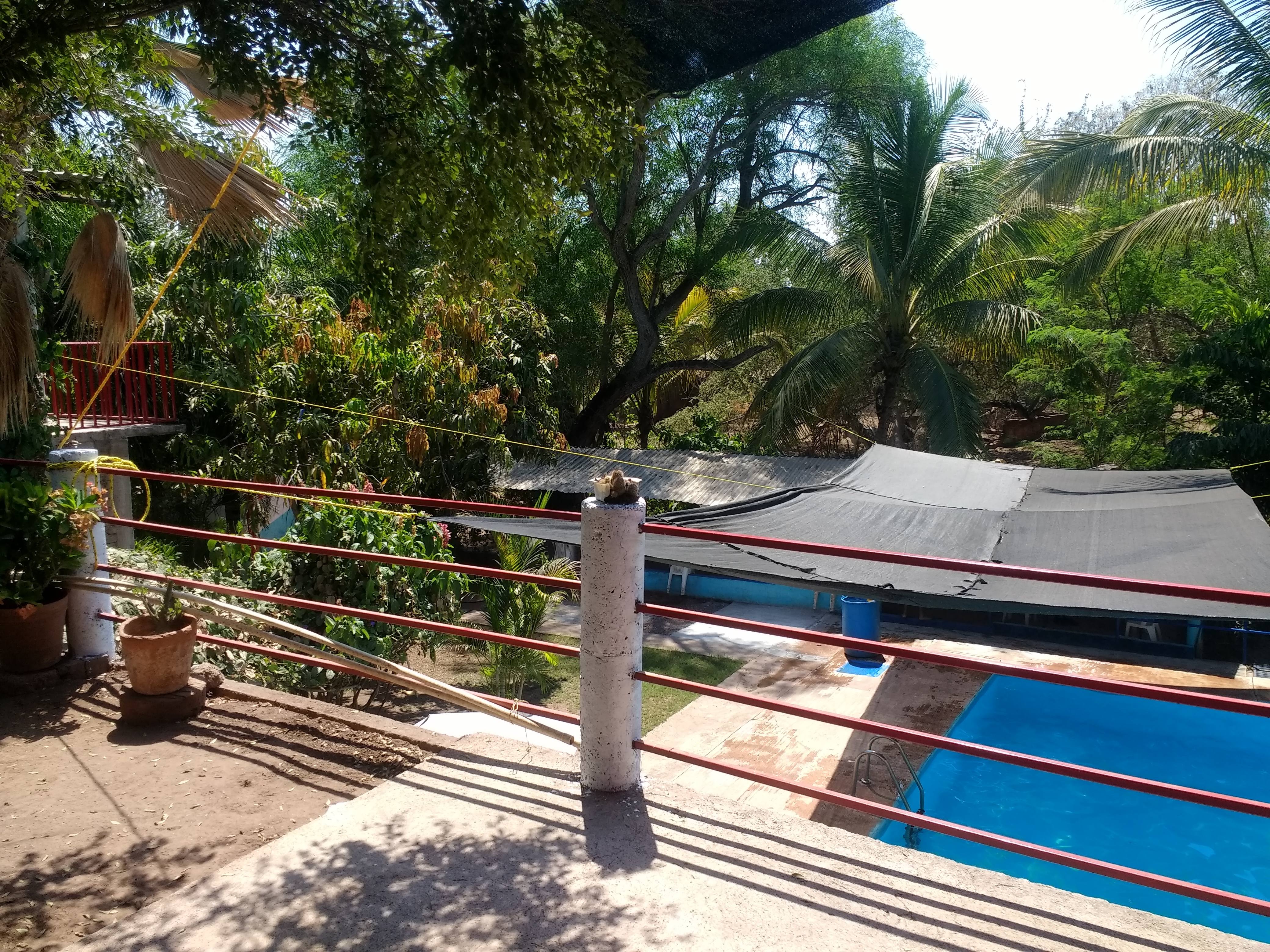 Centro Social El Tecolotin image 3