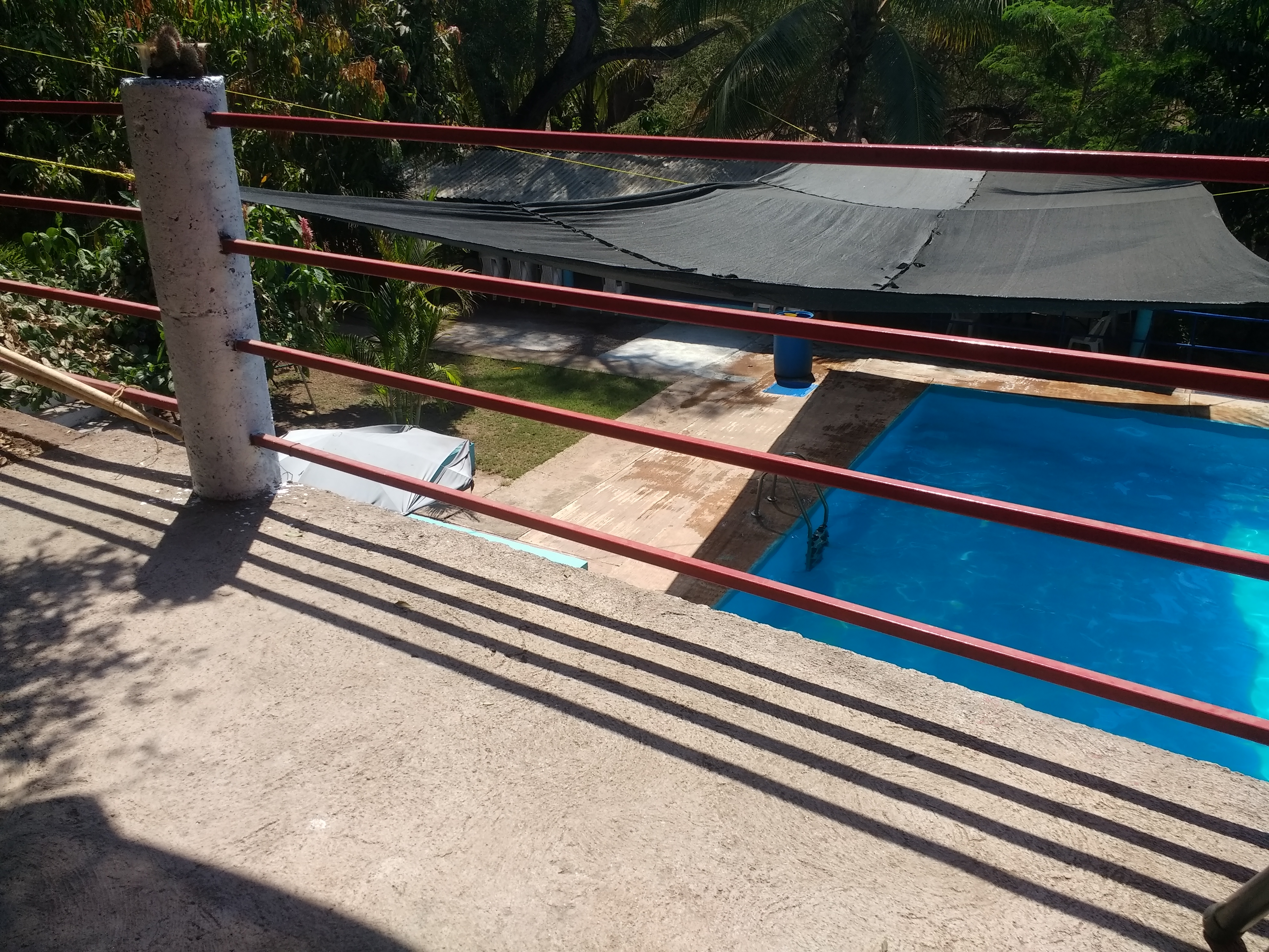 Centro Social El Tecolotin image 8