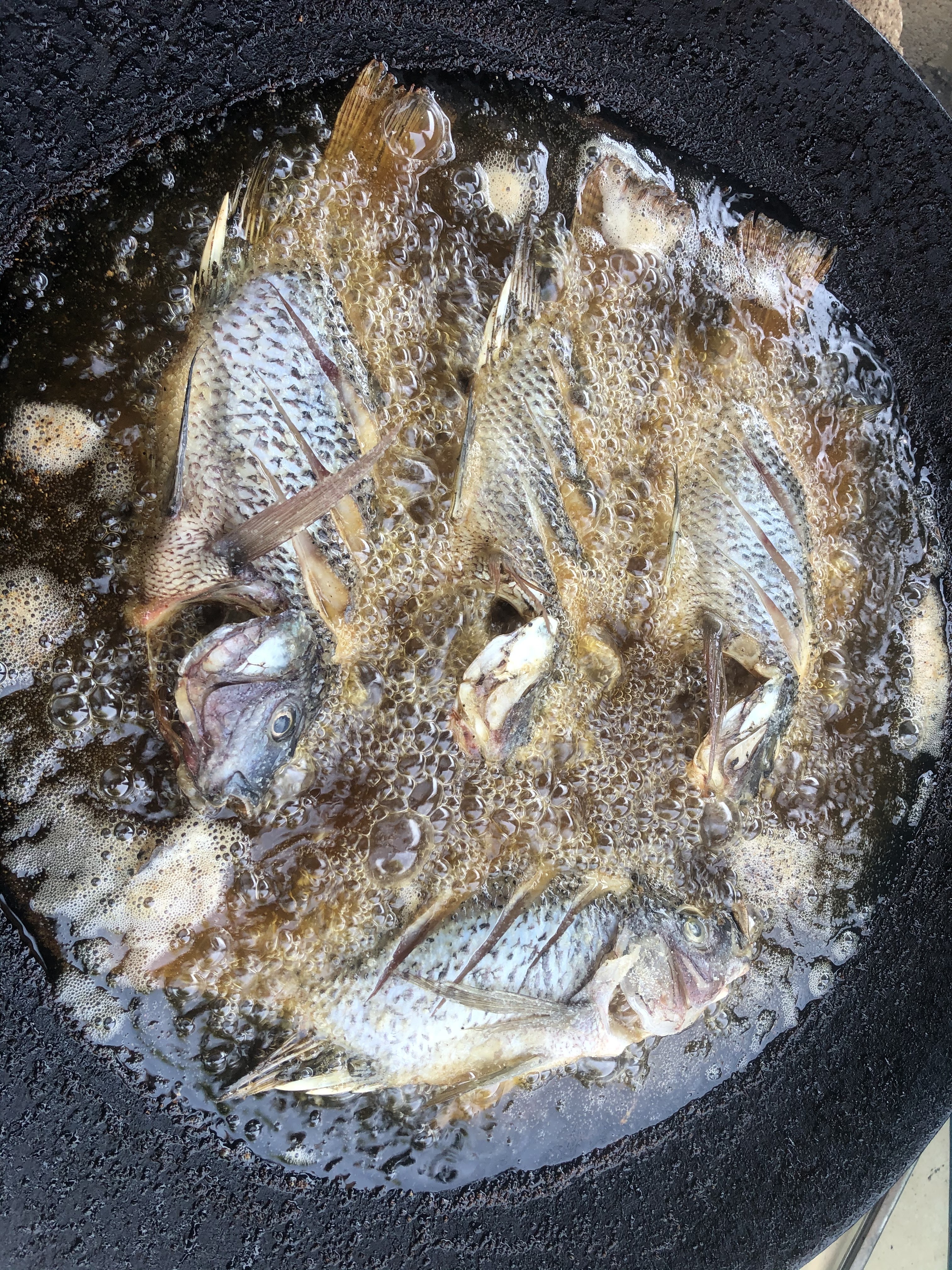 Mojarras Preparadas “Los Ortega” image 9