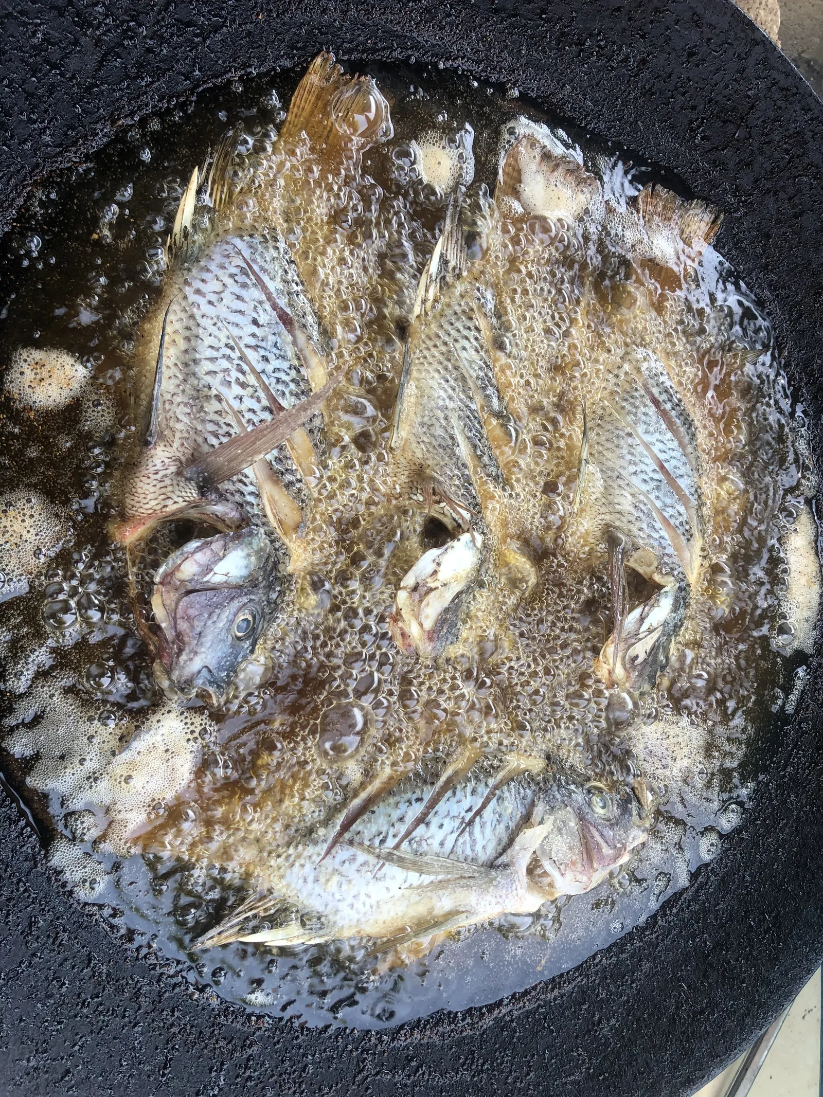 Mojarras Preparadas “Los Ortega” image 9
