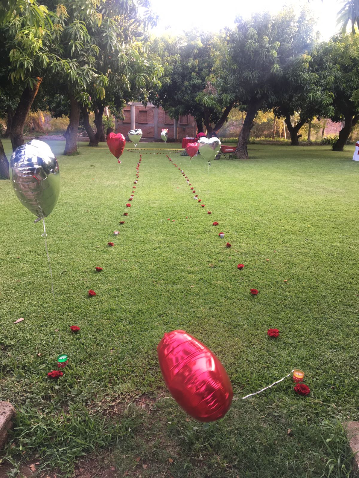 Restaurant El Paraiso image 10