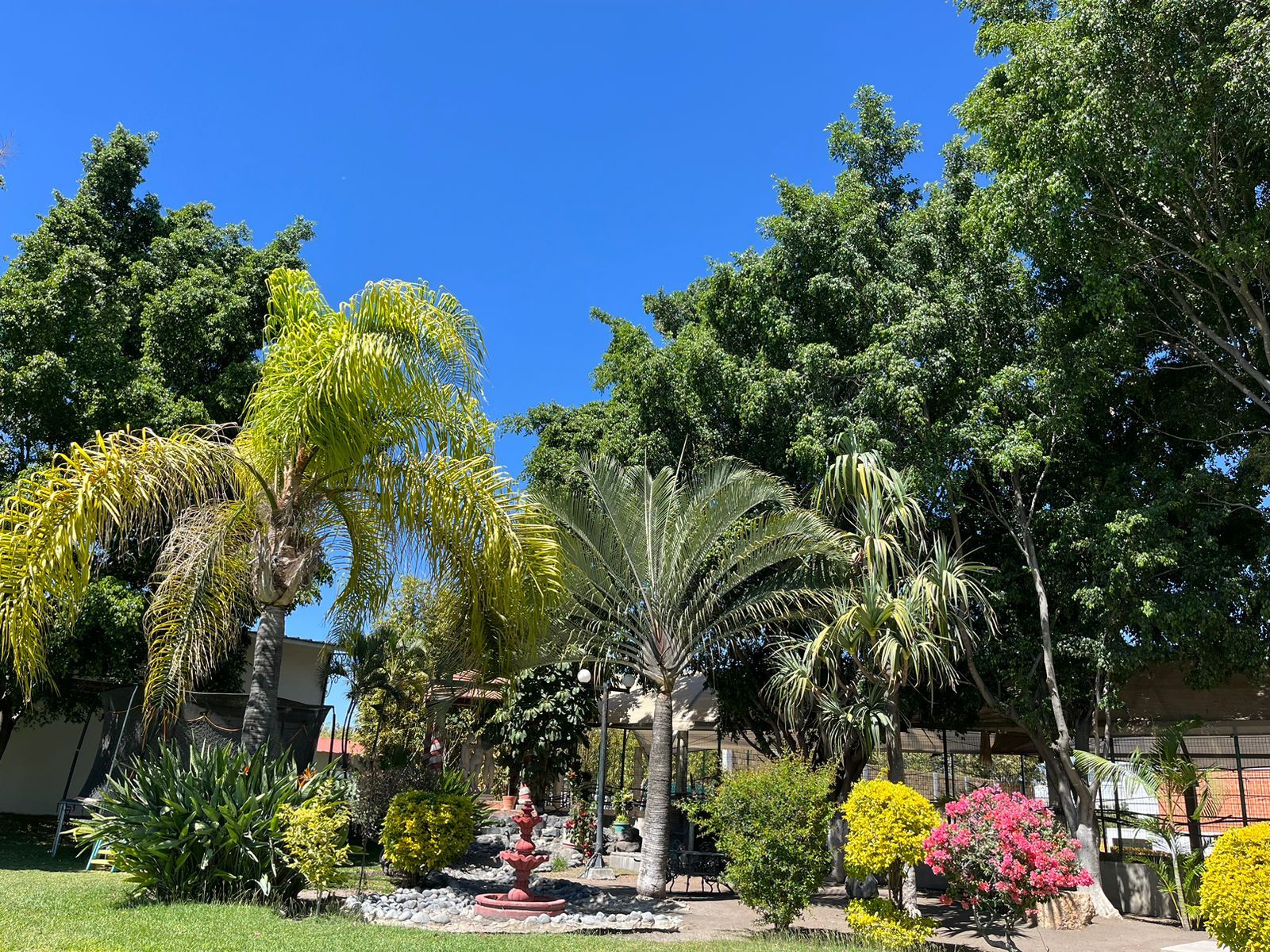 Fonda Margarita " El reino del sabor" image 6