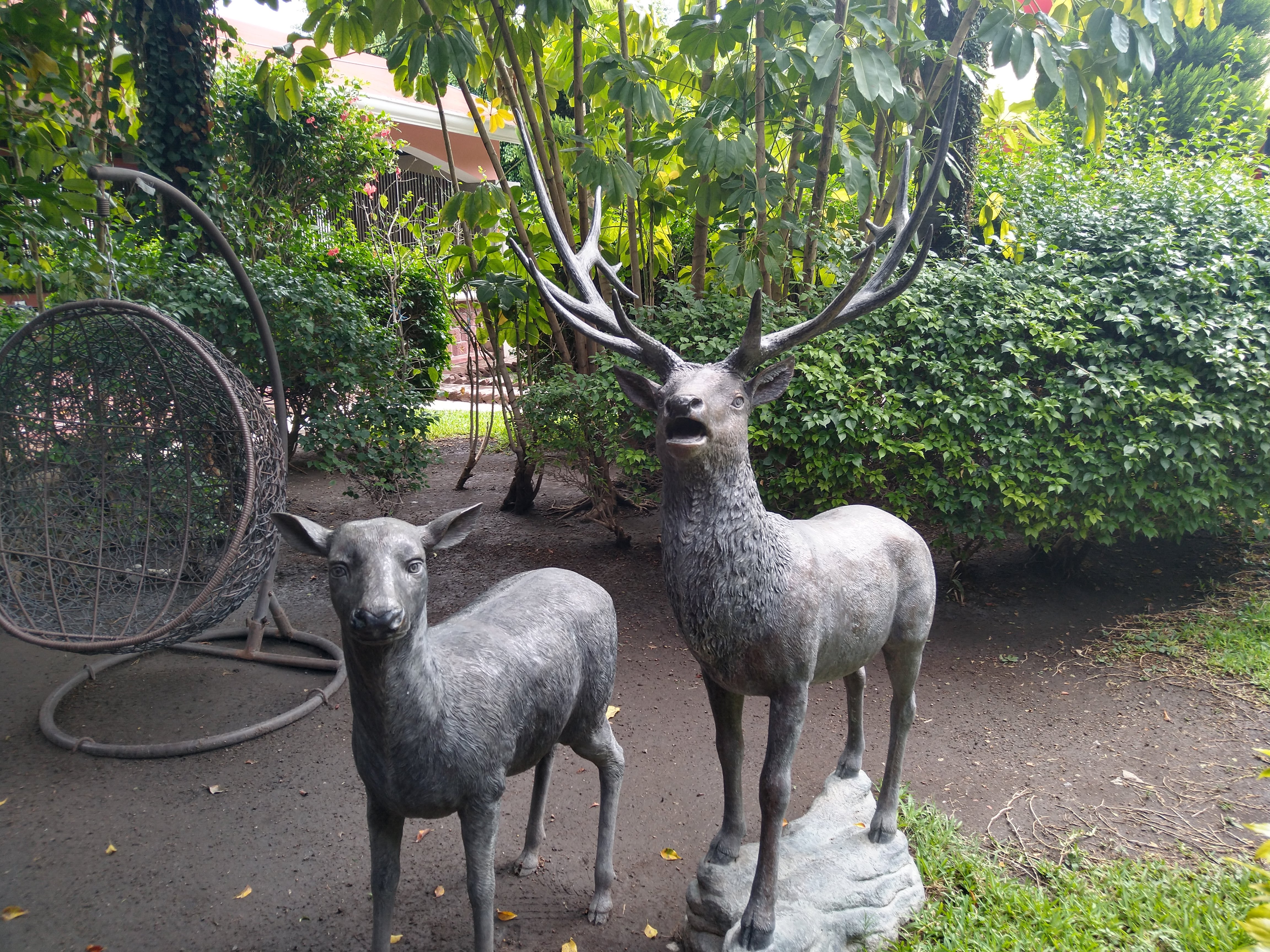 Fonda Margarita " El reino del sabor" image 7