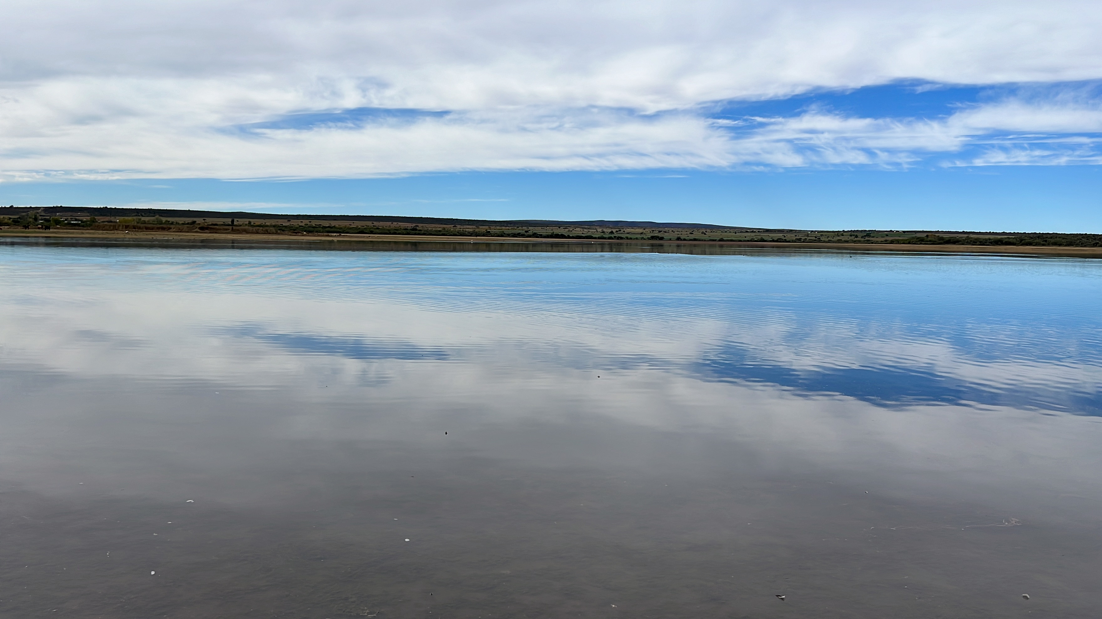 Loncheria "Los Mismos 2" image 7