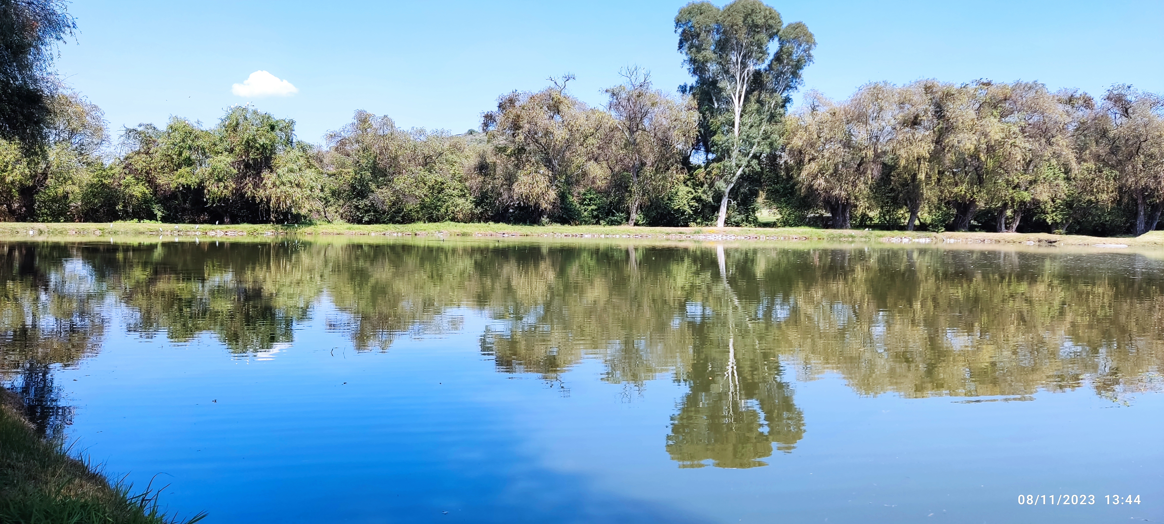 Restaurant Los Manantiales Santa Clara image 4