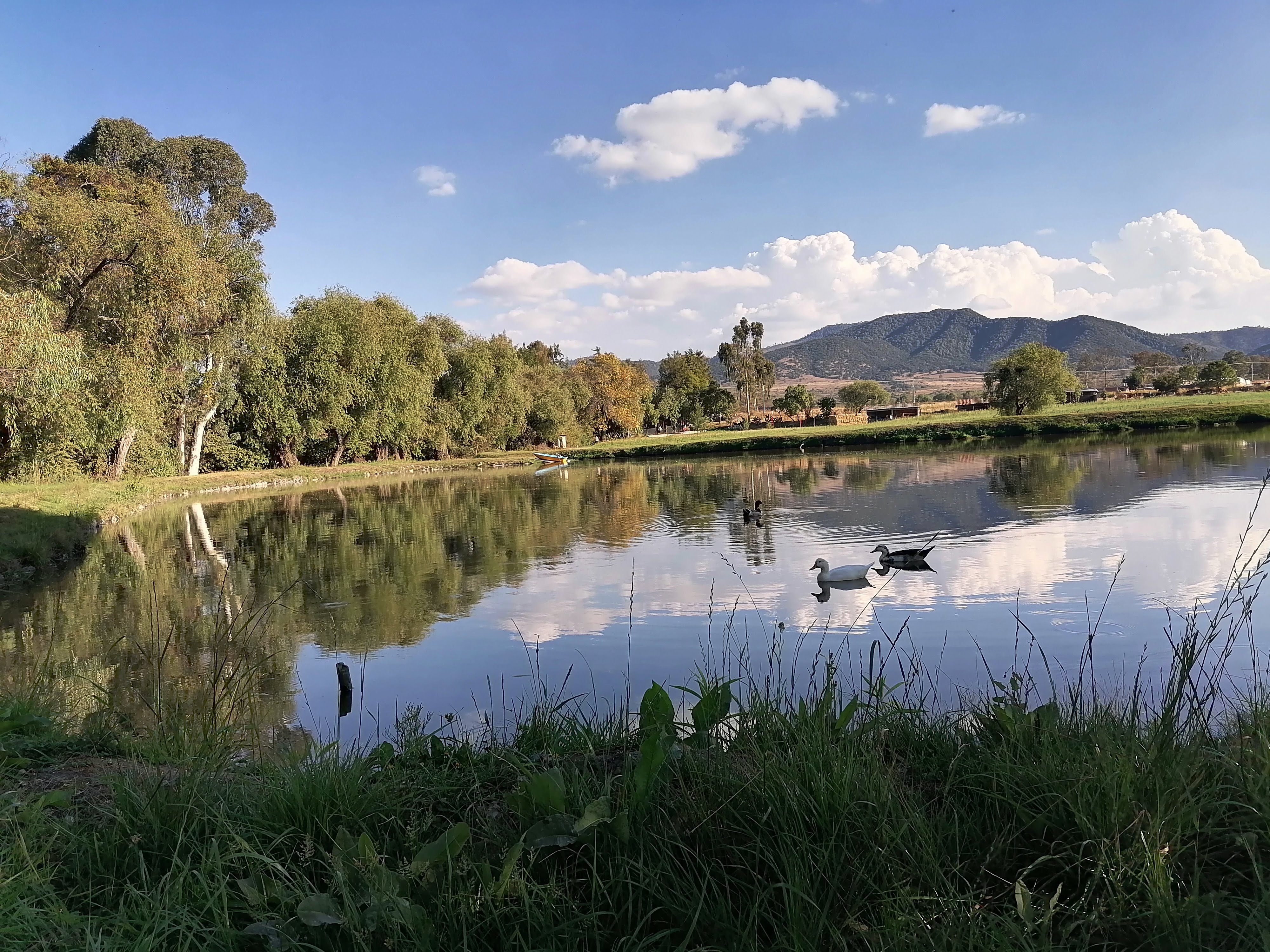 Restaurant Los Manantiales Santa Clara image 6