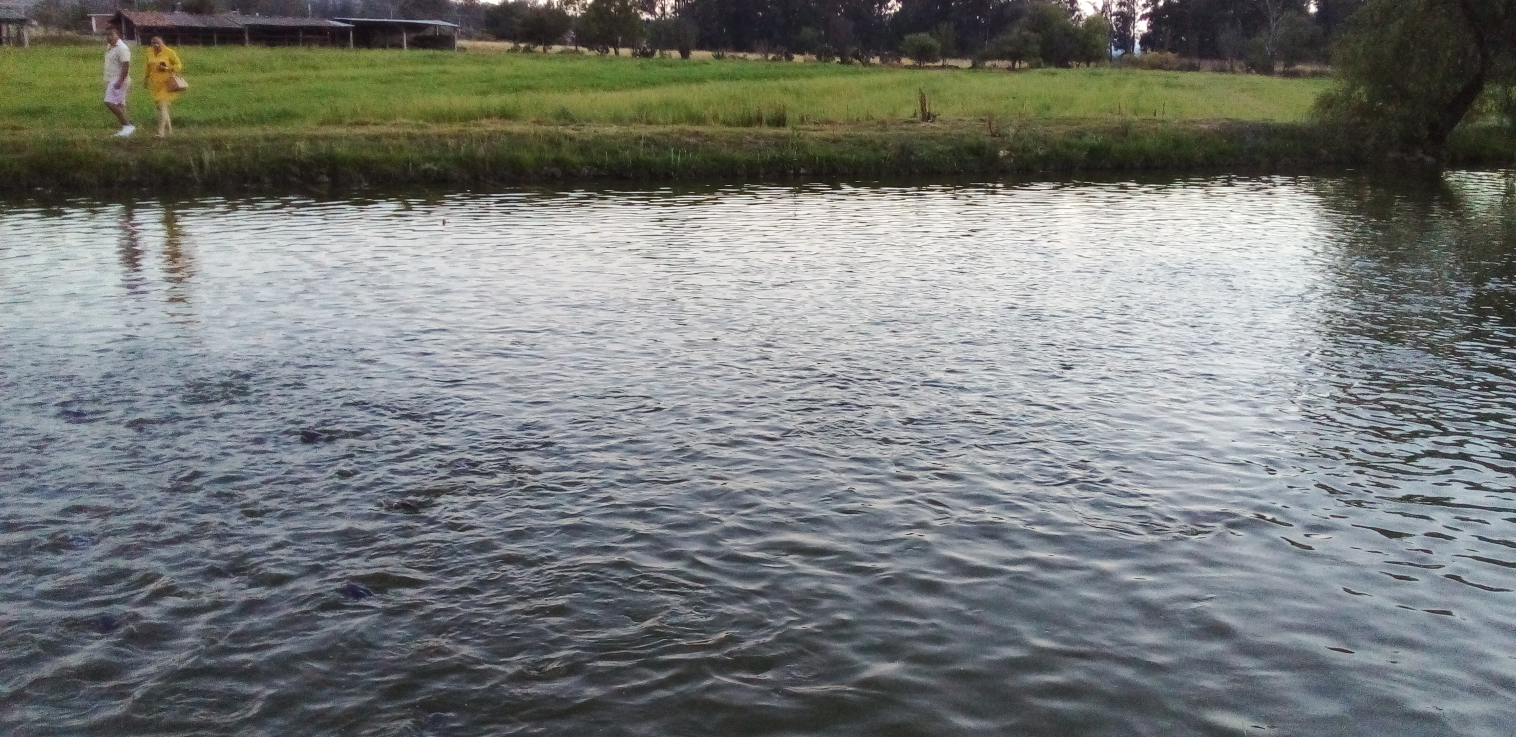 Restaurant Los Manantiales Santa Clara image 7