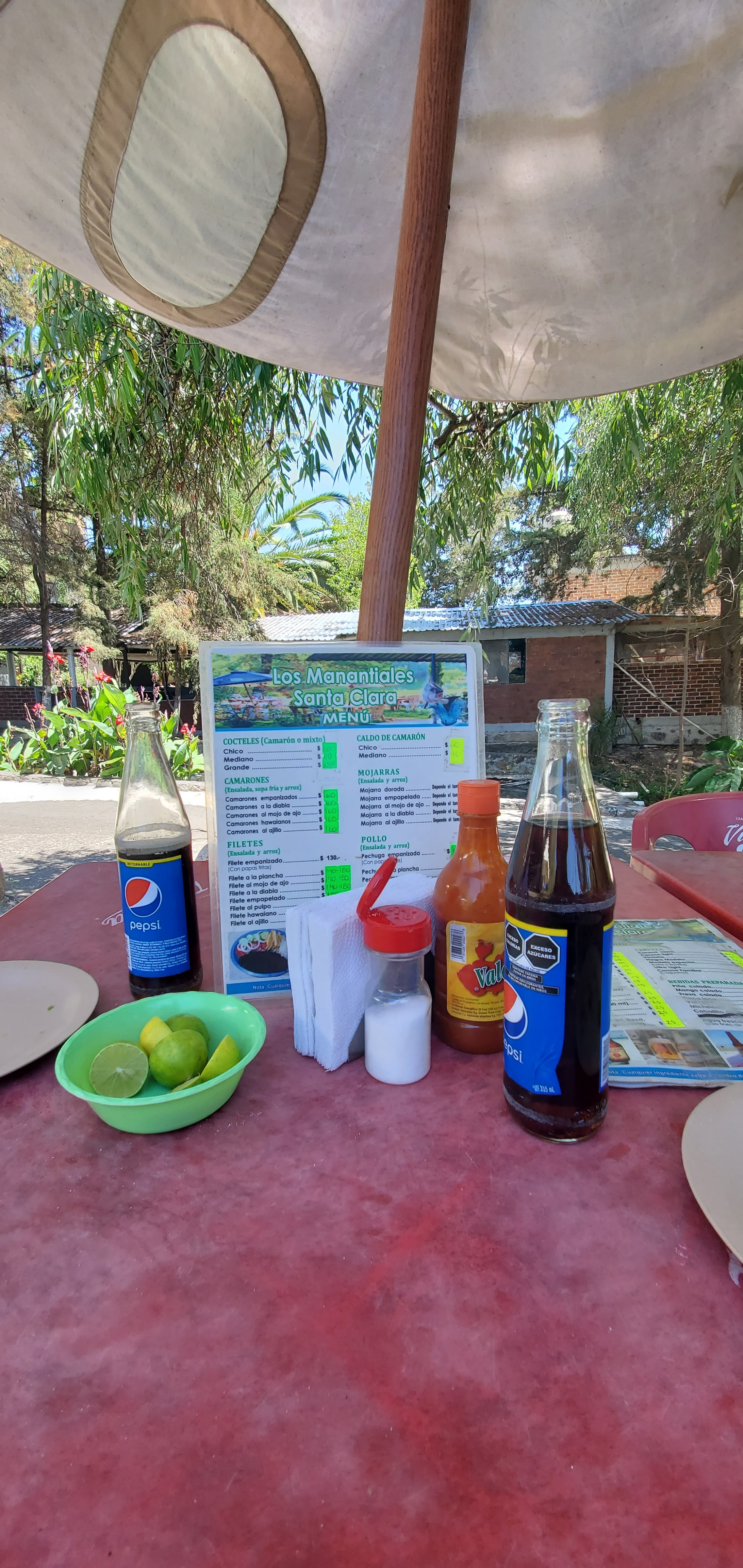 Restaurant Los Manantiales Santa Clara image 10
