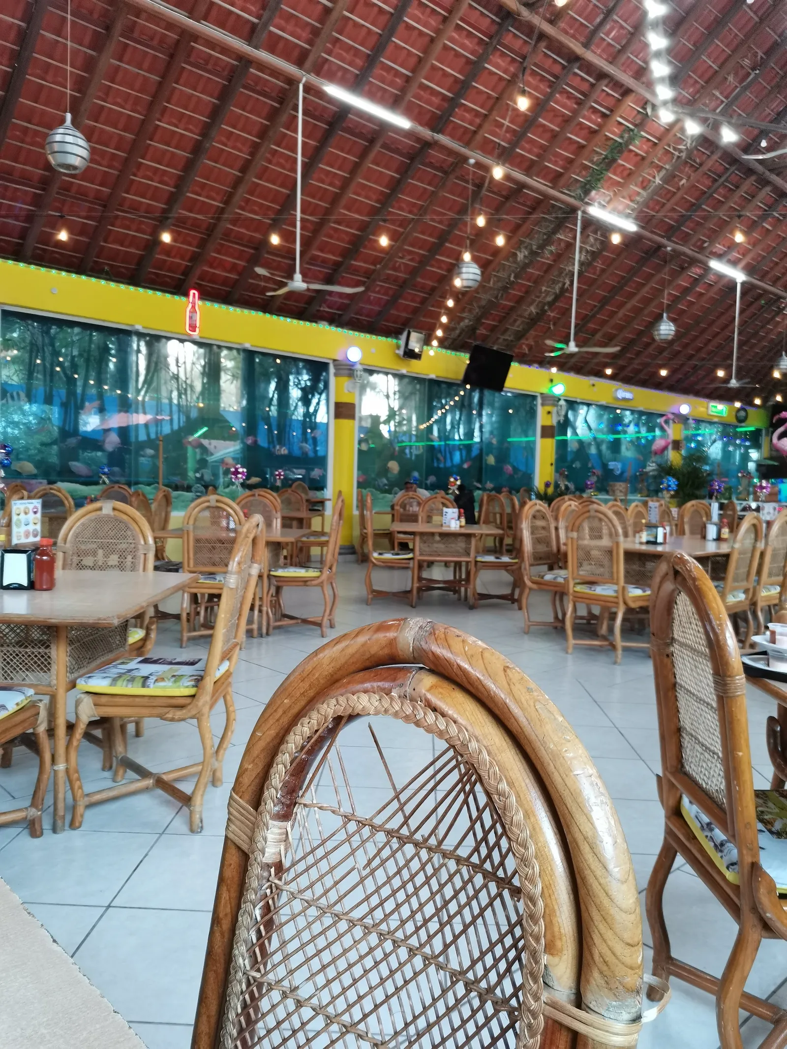 La Palapa image 3