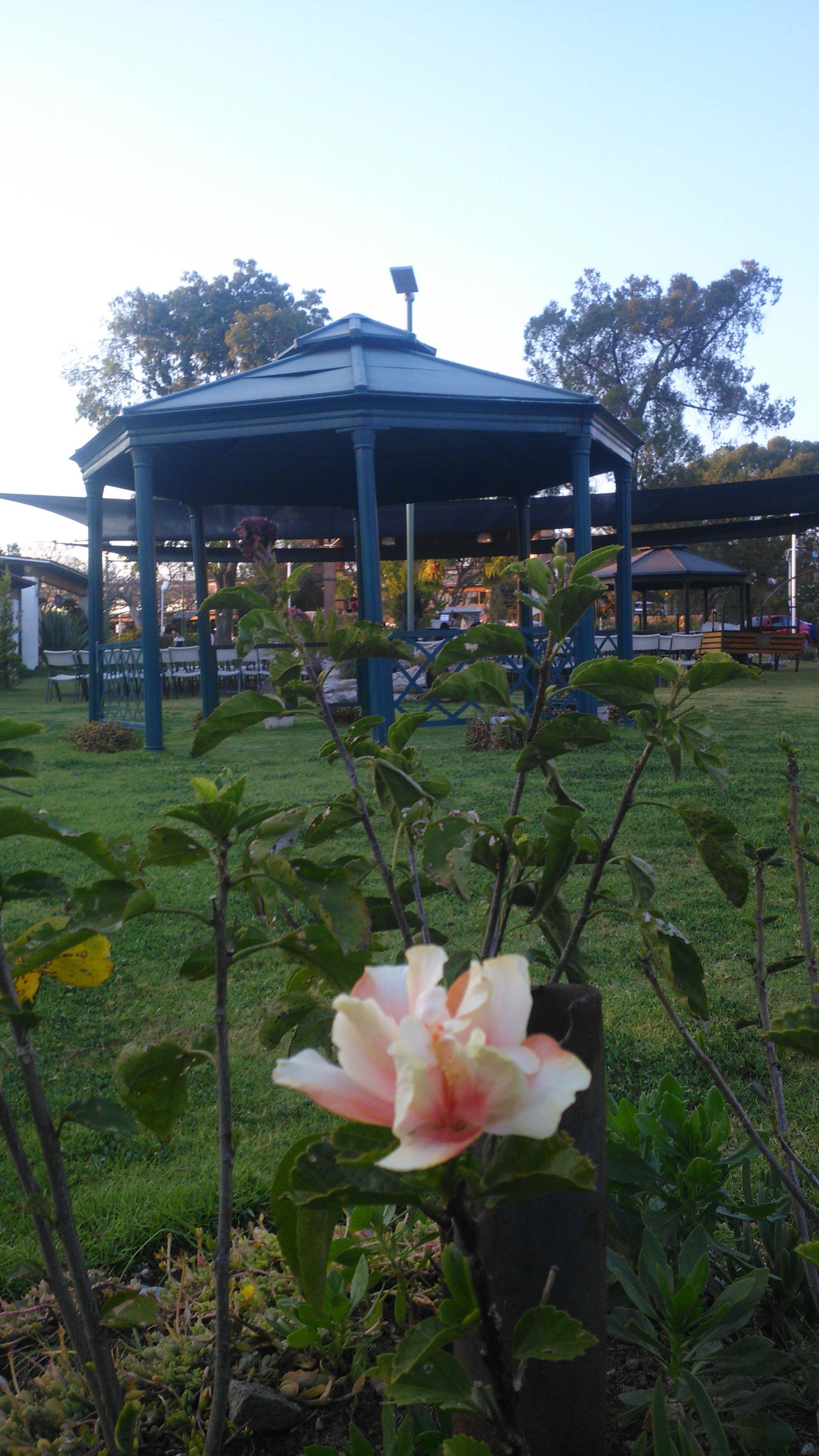 Restaurante Maclovia image 3