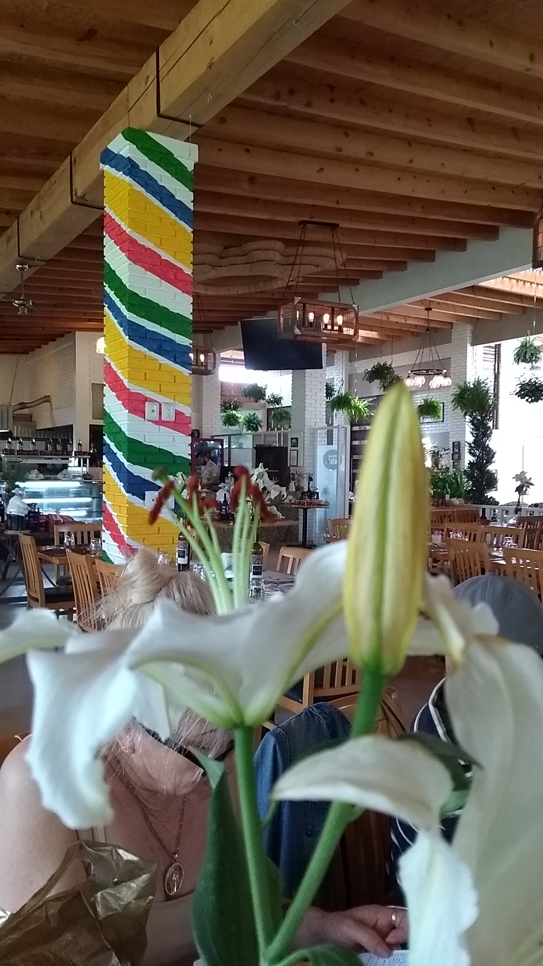 Restaurante Maclovia image 9